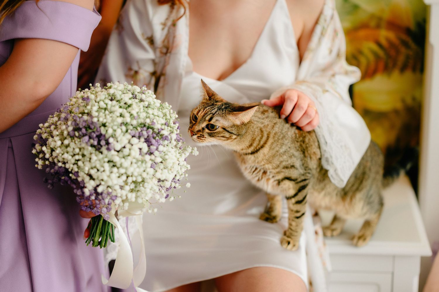 Bride in white robe petting a tabby cat while bridesmaid holds purple and white flower bouquet.