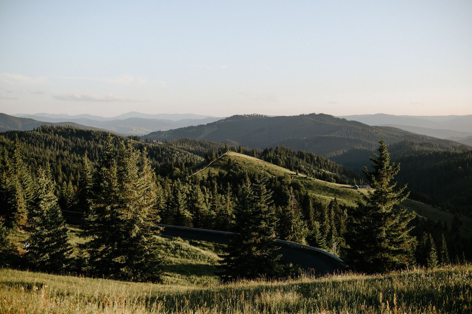 Panoramic view of lush green mountain landscape with pine trees under a clear blue sky.