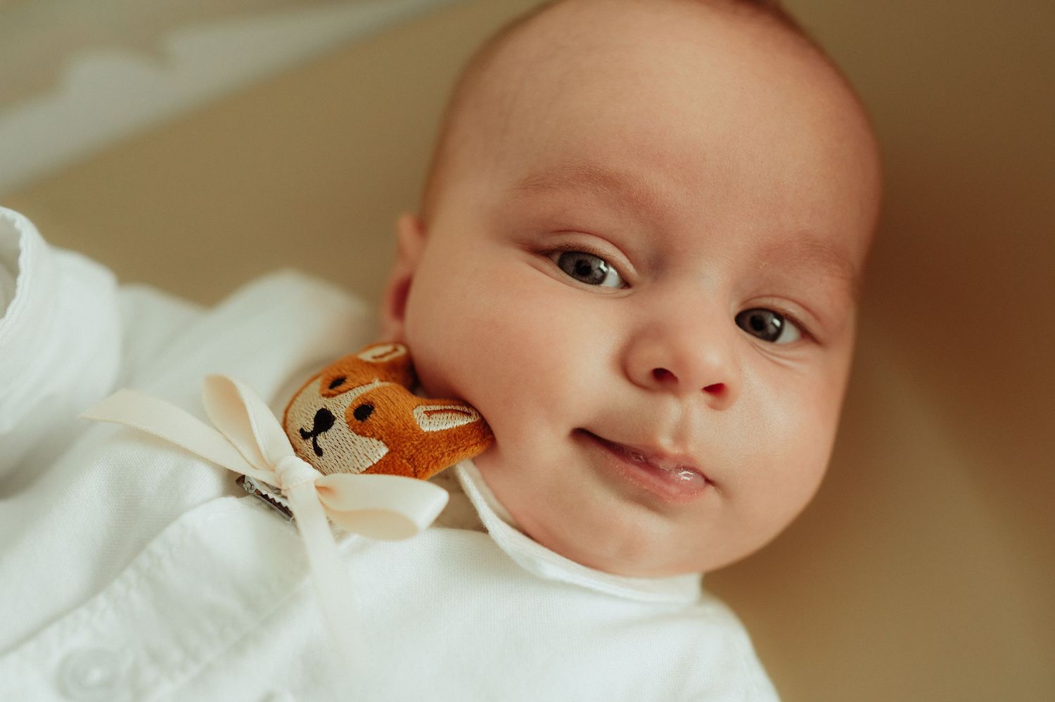 Newborn baby lying down smiling with small fox stuffed animal toy beside face.