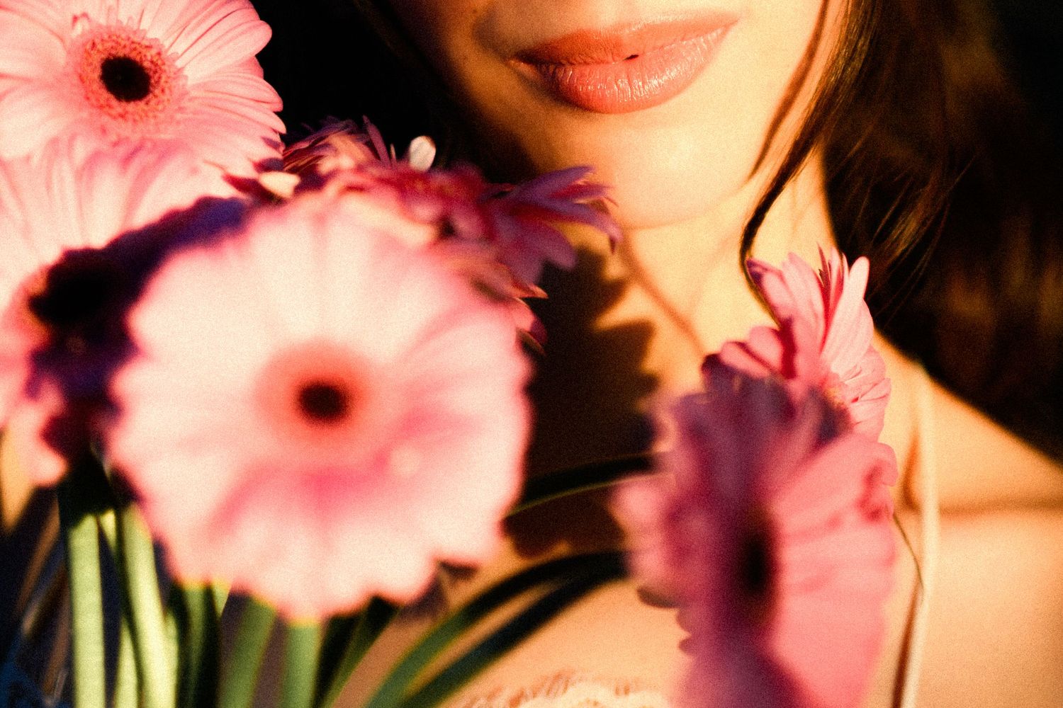 Close-up of a woman holding pink gerbera daisies near her face, bathed in warm golden light.