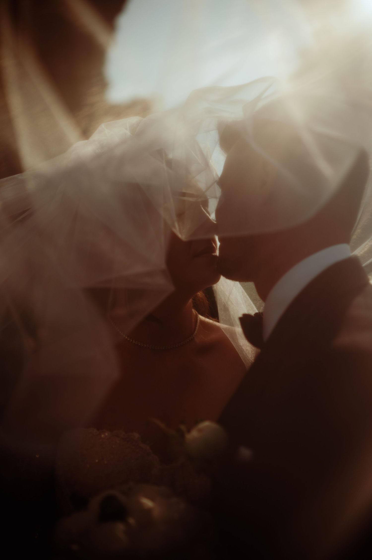 Romantic close-up of a bride and groom kissing under a veil in golden sunlight.