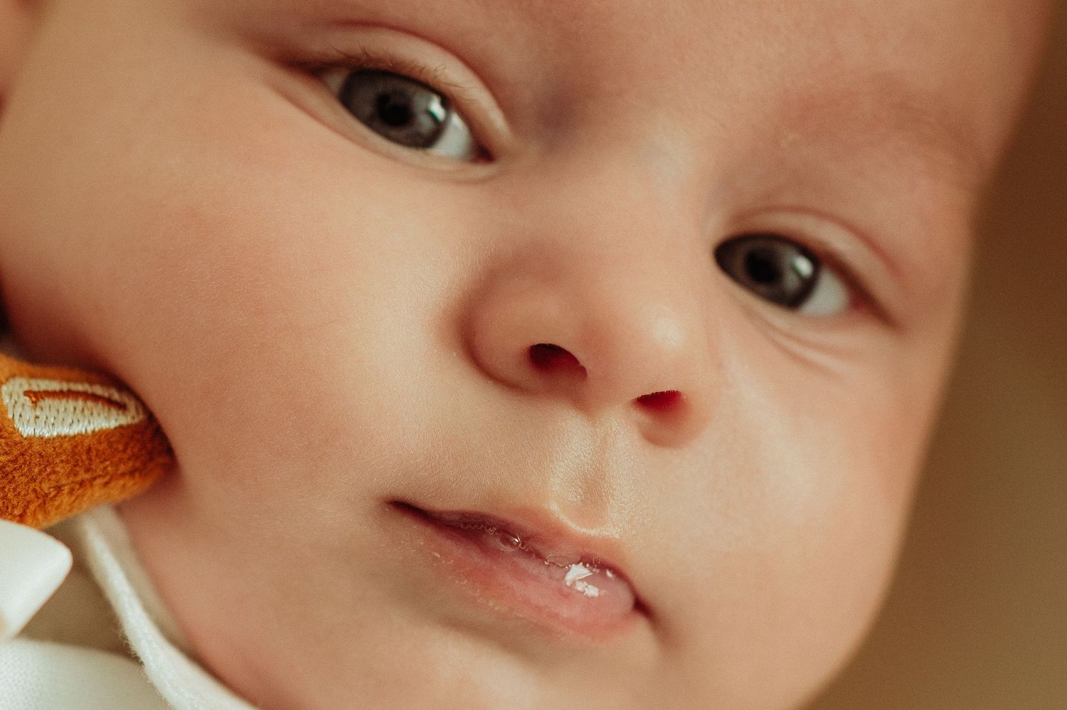 Extreme close-up portrait of newborn baby face with soft toy against cheek.