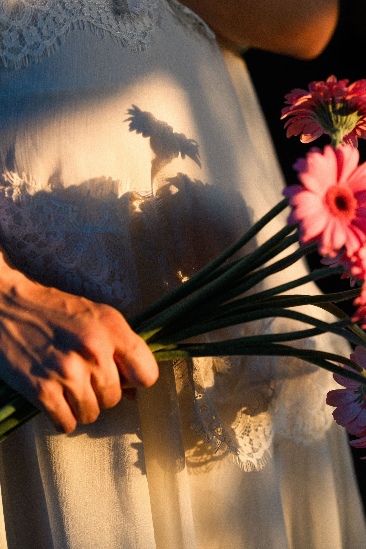 Bride in white lace gown holding pink gerbera daisy bouquet with golden sunlight casting floral shadows on dress.