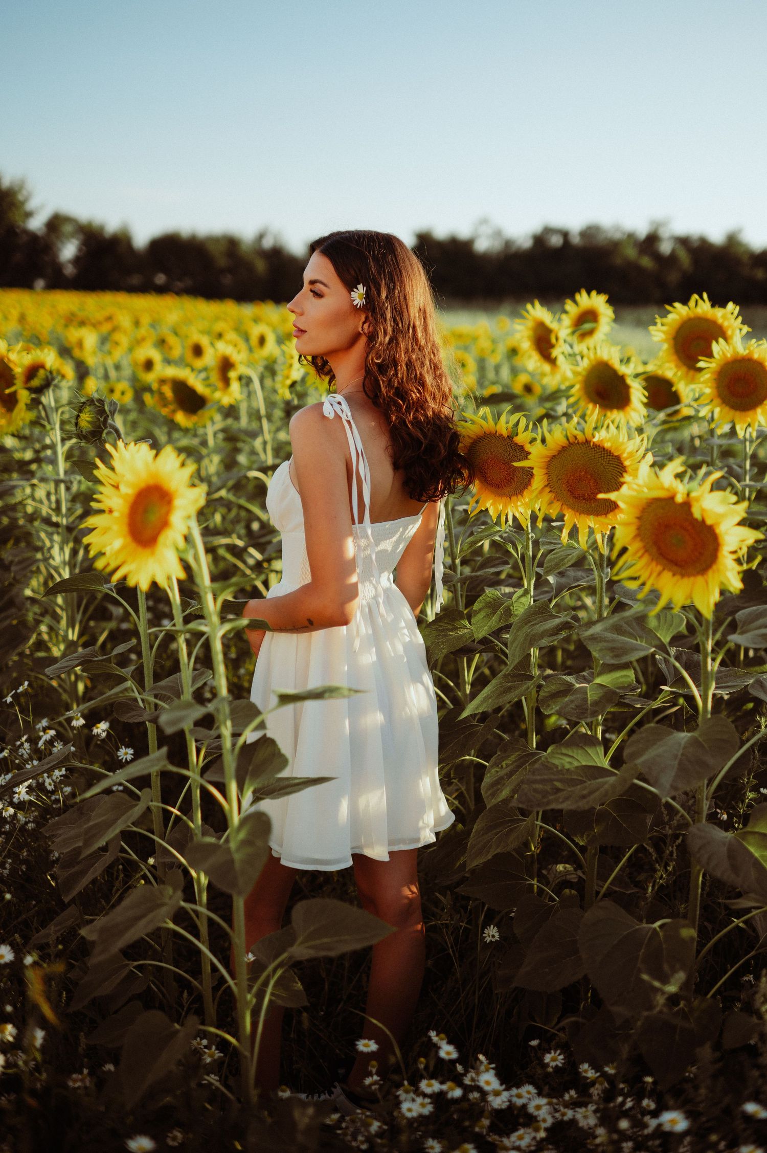 Young woman in white sundress standing among tall sunflowers in a golden field at sunset.