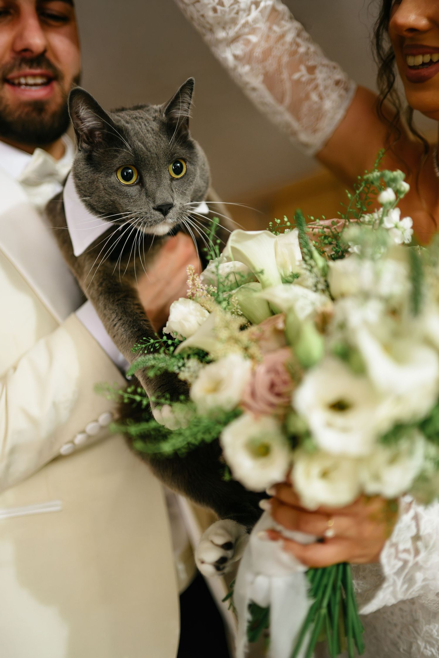 Bride and groom holding a gray cat and white floral bouquet at their wedding ceremony.