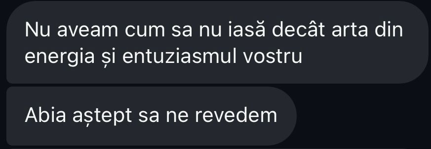 Romanian chat praising artistic wedding photography energy and enthusiasm with meetup anticipation.