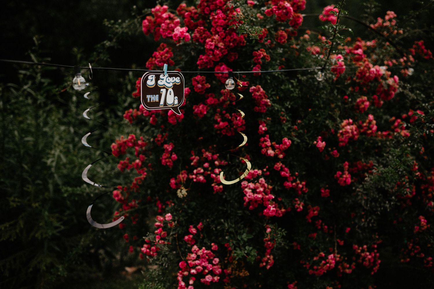 Decorative silver swirl ornaments and a sign hanging on a wire surrounded by vibrant red rose bushes.