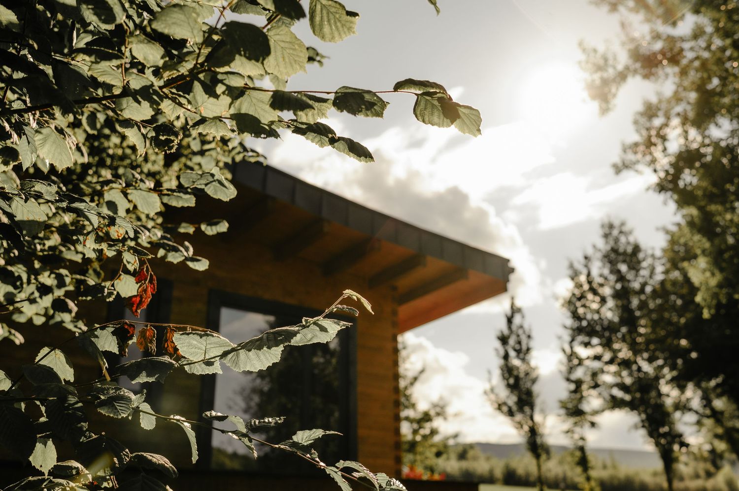 Sunlit modern wooden cabin surrounded by lush green foliage in a natural landscape.