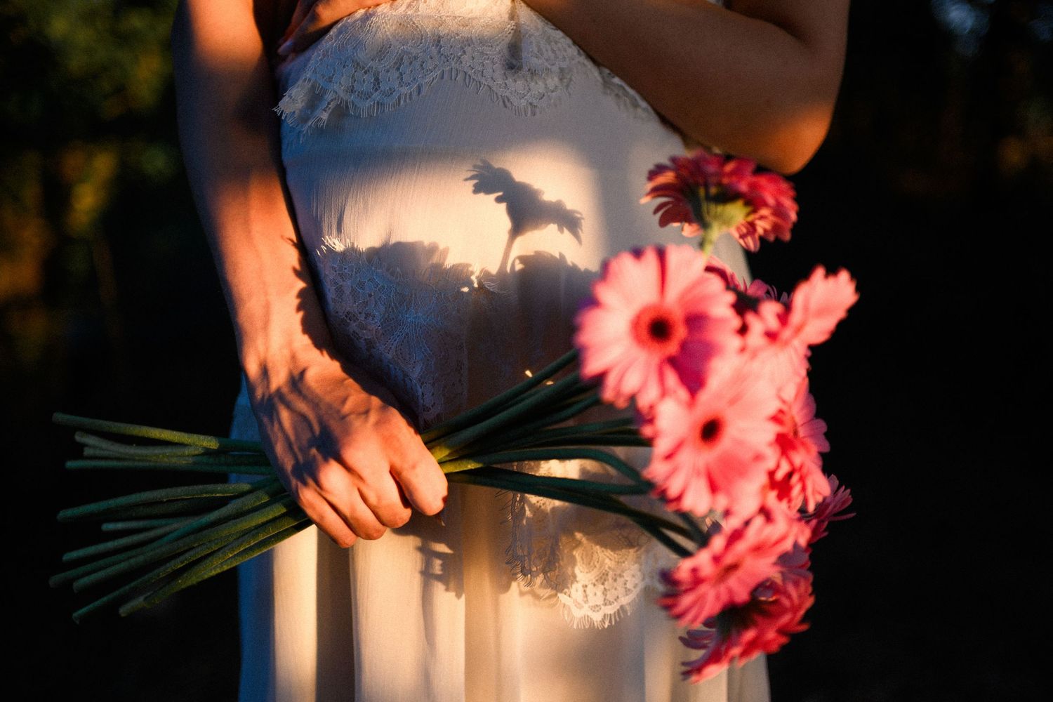Bride in white lace dress holding pink gerbera daisy bouquet with golden sunlight casting floral shadows.