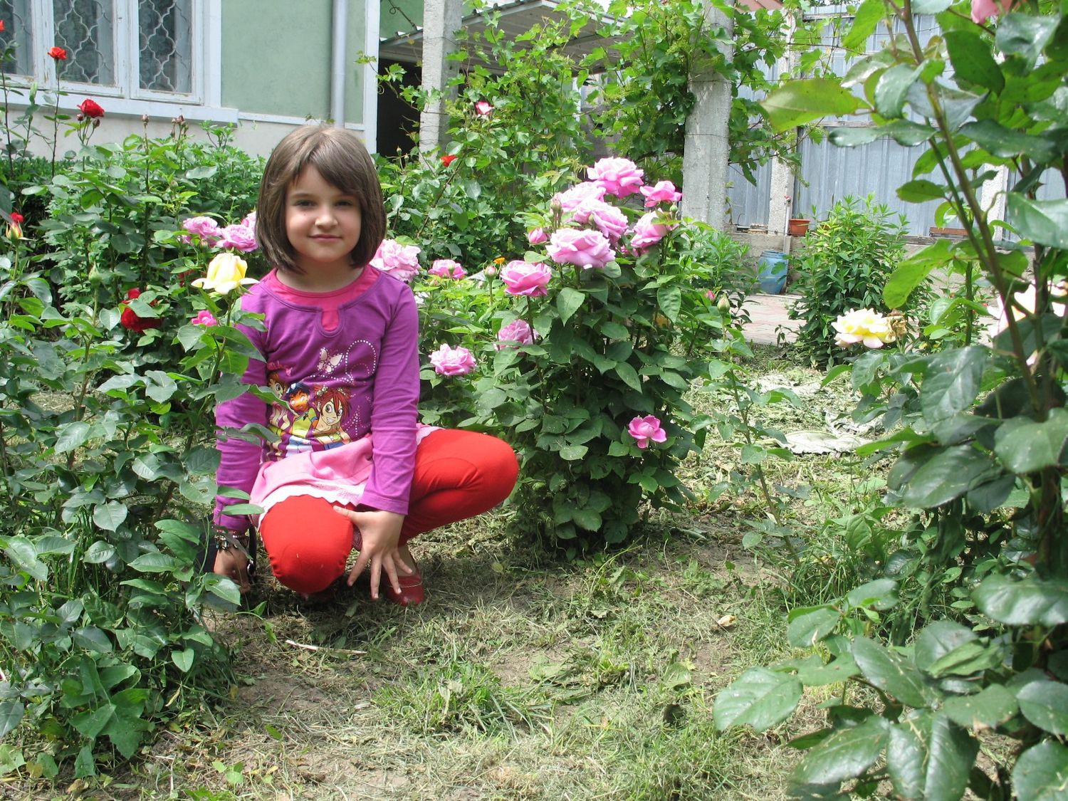 Young girl crouching in a garden surrounded by blooming pink roses on a sunny day.