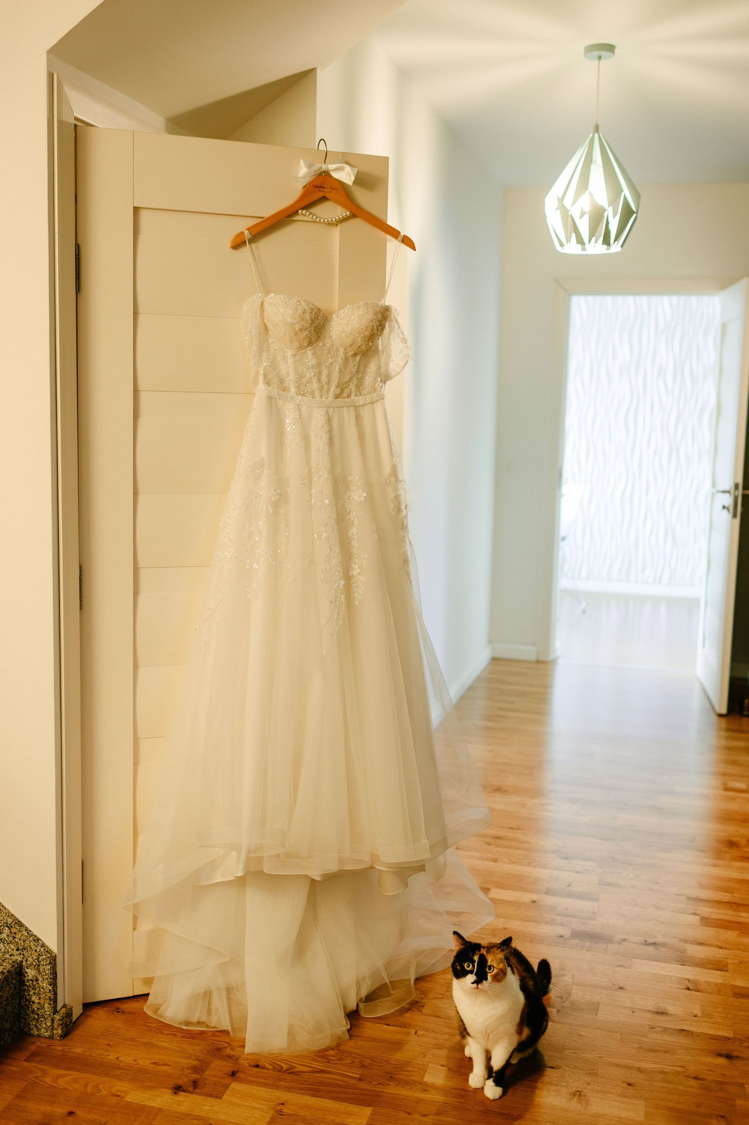 White lace wedding dress hanging on door with calico cat sitting below on hardwood floor.