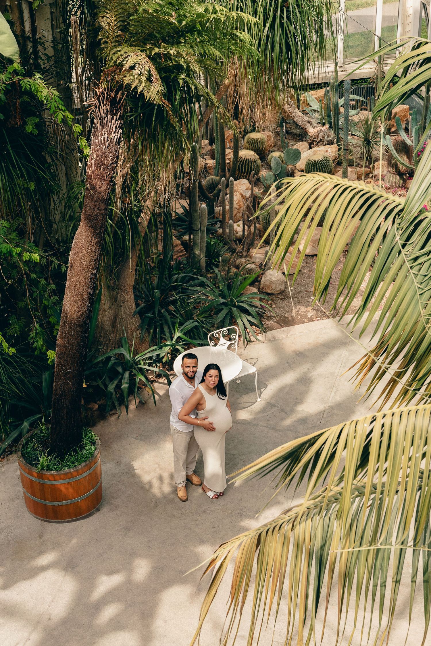 Couple embracing in a lush tropical greenhouse surrounded by palm trees and cacti.