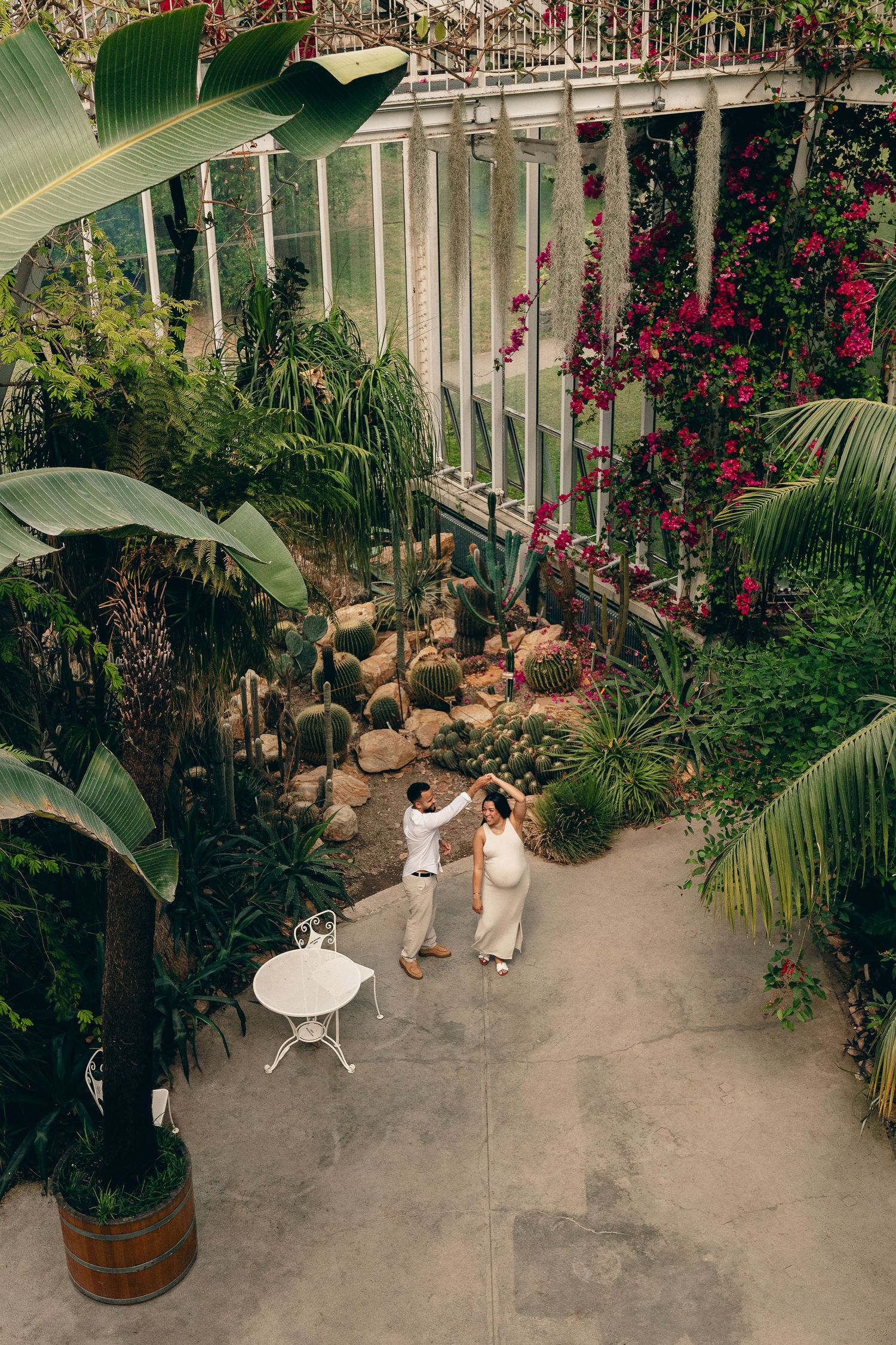 Aerial view of a couple dancing in a lush botanical greenhouse with cacti, palms, and bougainvillea.