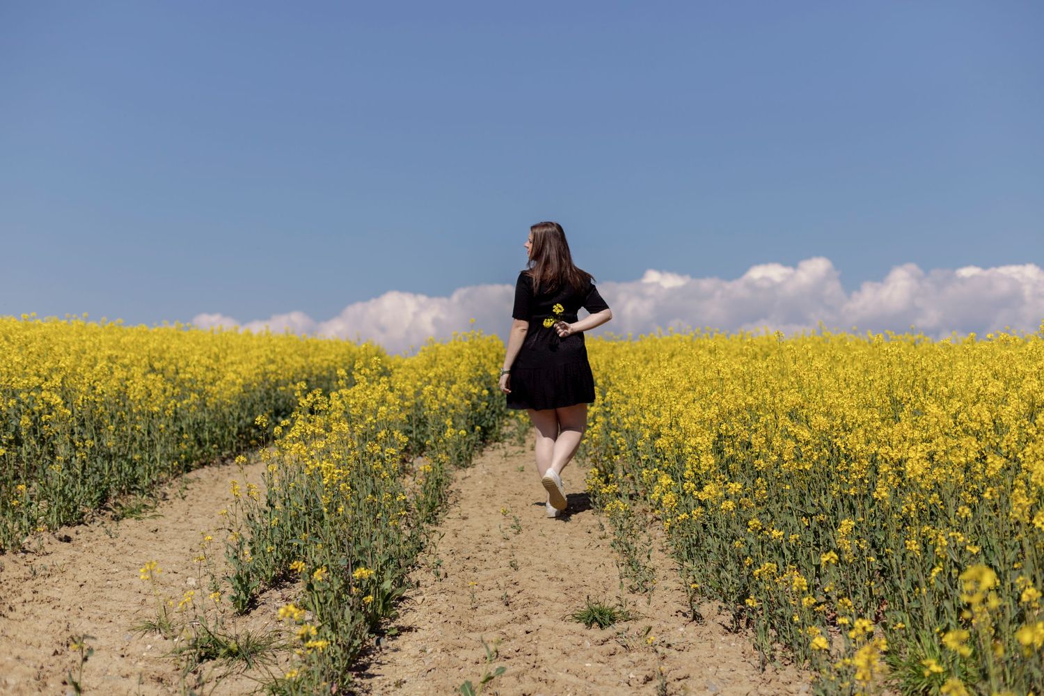 Young woman in black dress walking along a path through a vast yellow rapeseed field.