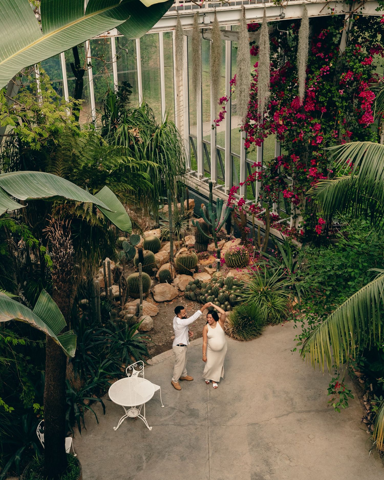 Aerial view of couple dancing in lush greenhouse surrounded by tropical plants and colorful flowers.