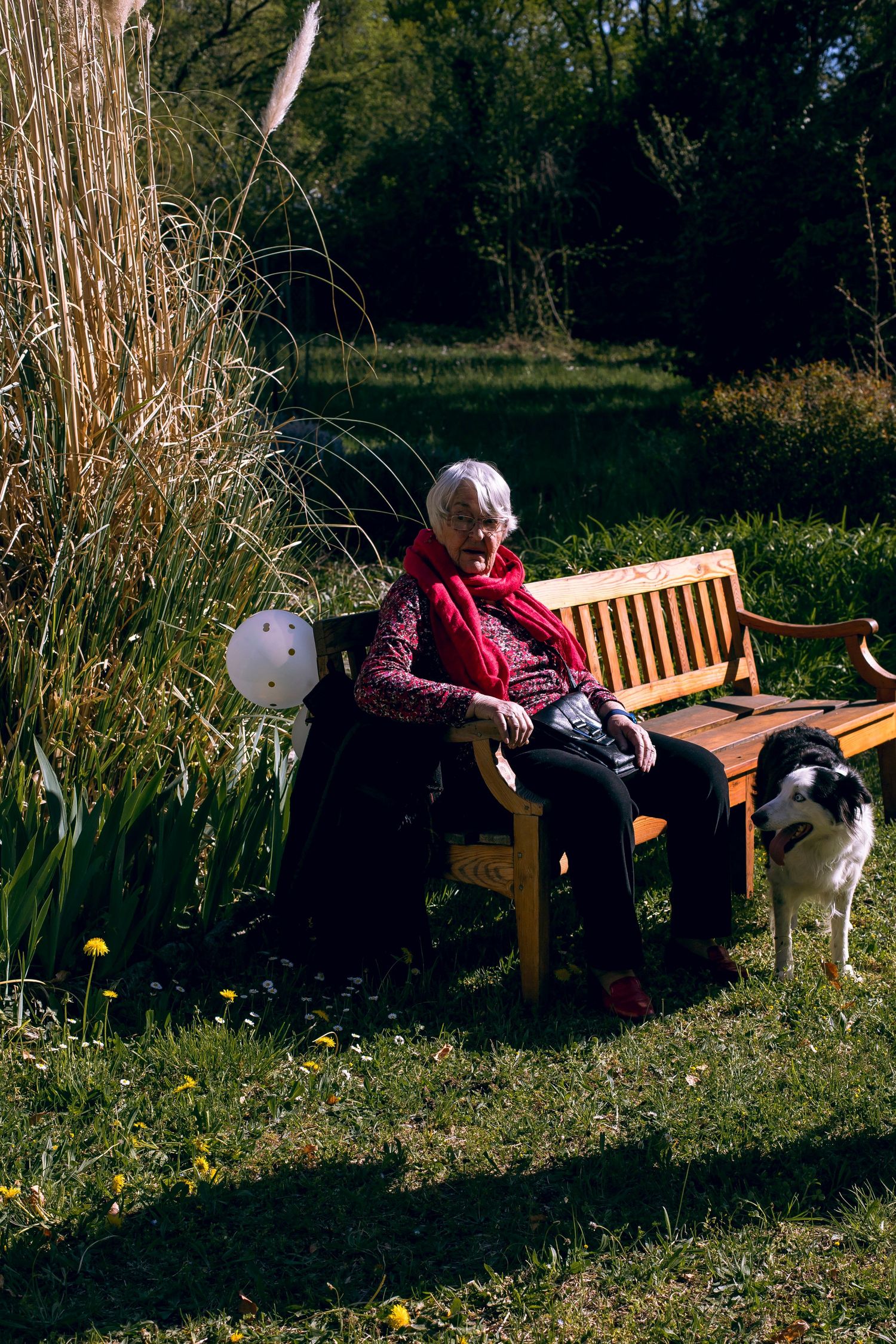 Elderly woman in red jacket sitting on wooden bench with black and white border collie in garden.