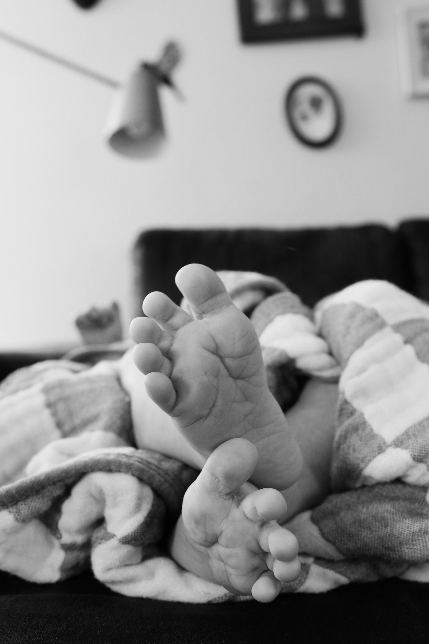 Newborn Baby Photo Session in Denver, CO