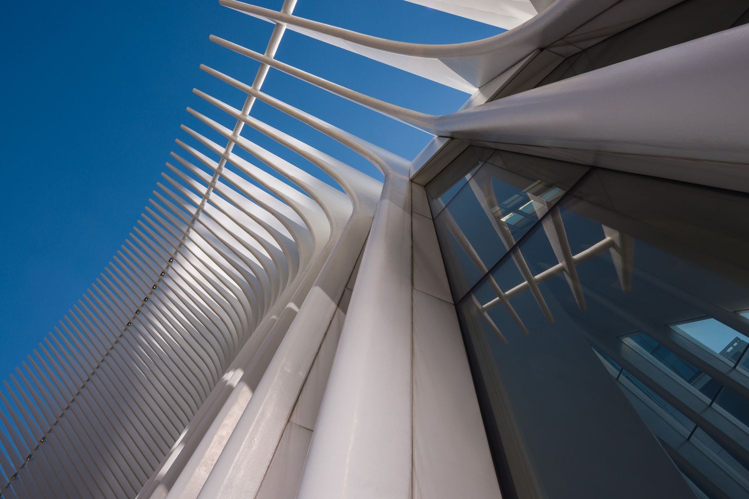 Looking up at a detail of the Oculus World Trade Center Transportation Hub by Santiago Calatrava in New York City