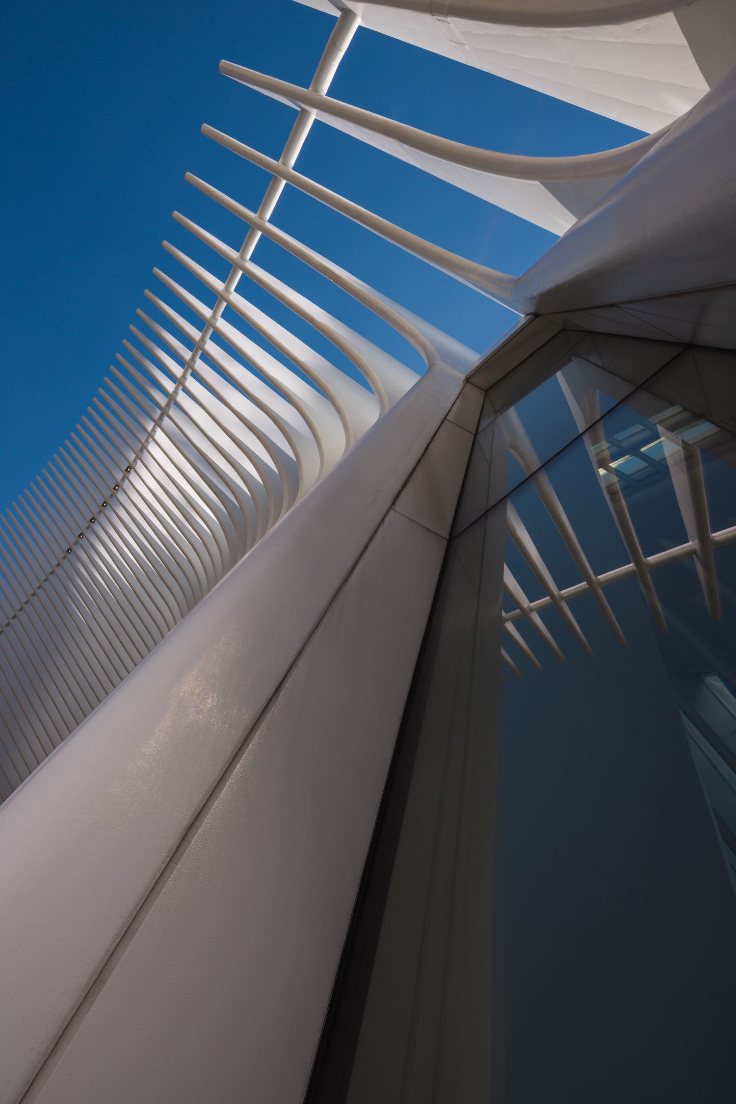 A vertical frame looking up at the Oculus World Trade Center Transportation Hub by Santiago Calatrava in New York City