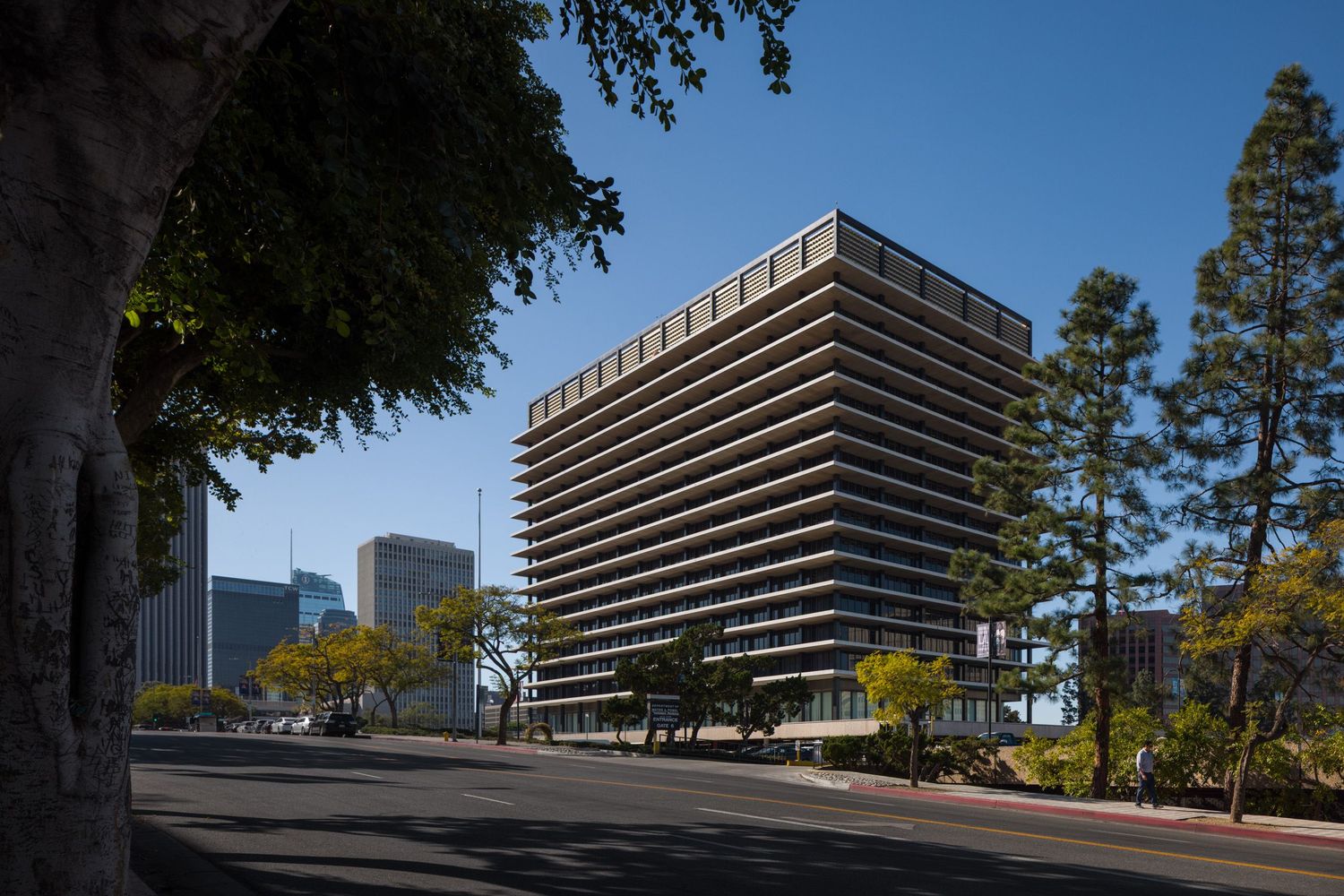 View of John Ferraro office building/Department of Water and Power in downtown Los Angeles framed by trees
