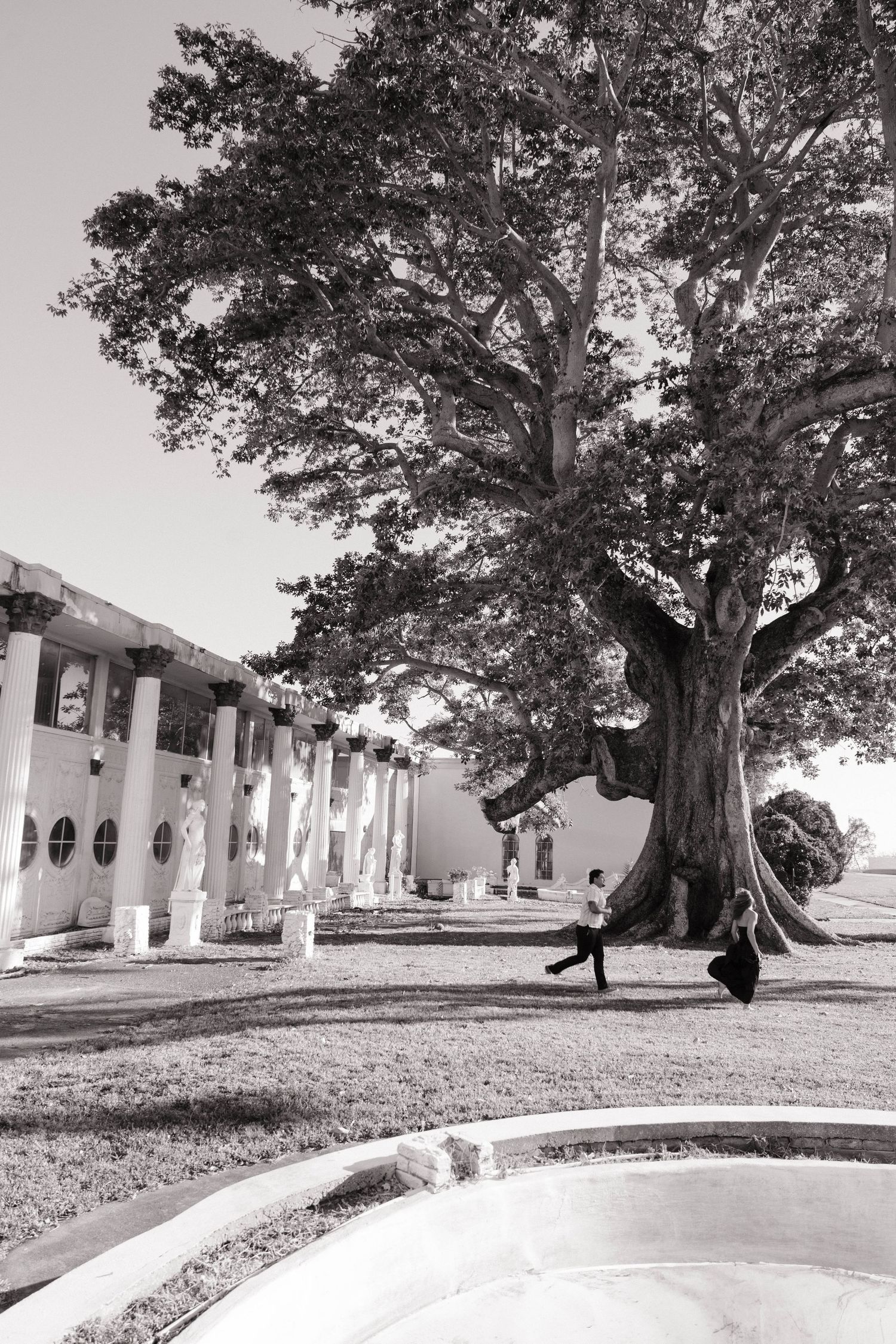 Black and white photo of a person leaning against a massive tree beside a white columned building.