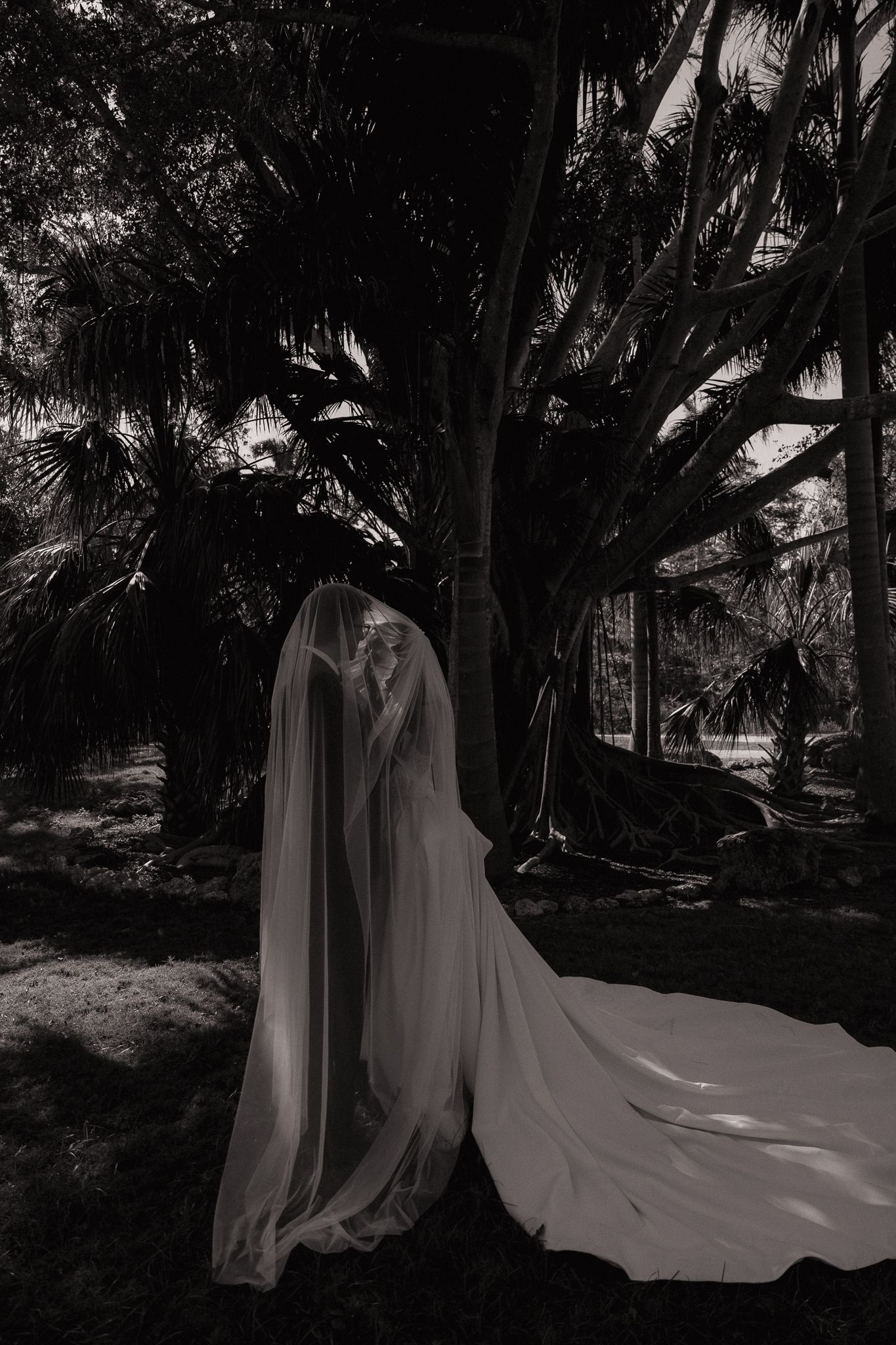 Elegant black and white portrait of bride in flowing gown and veil standing before towering palm trees.