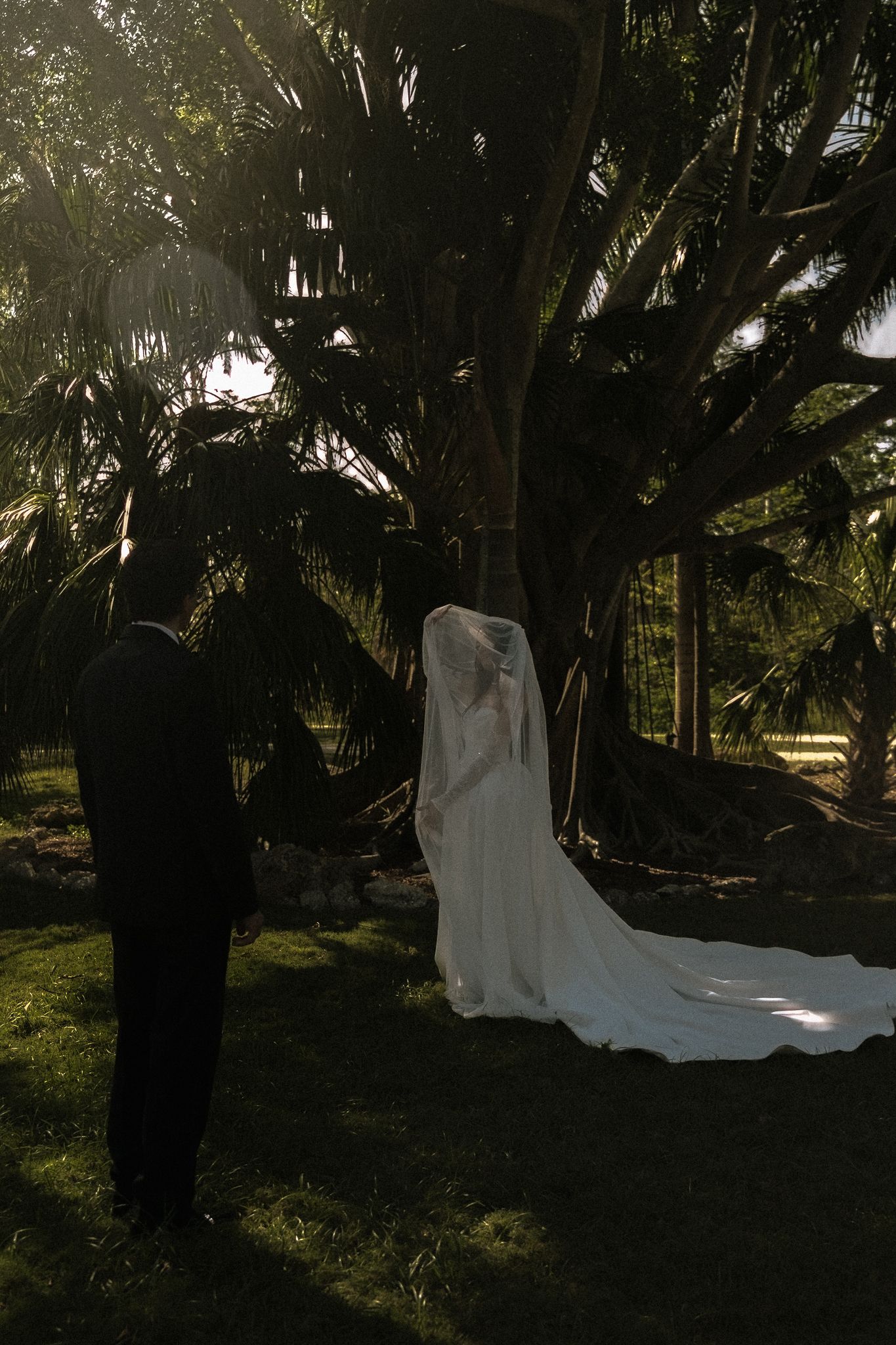 Bride in white gown and veil stands with groom in black suit beneath a large palm tree in golden sunlight.