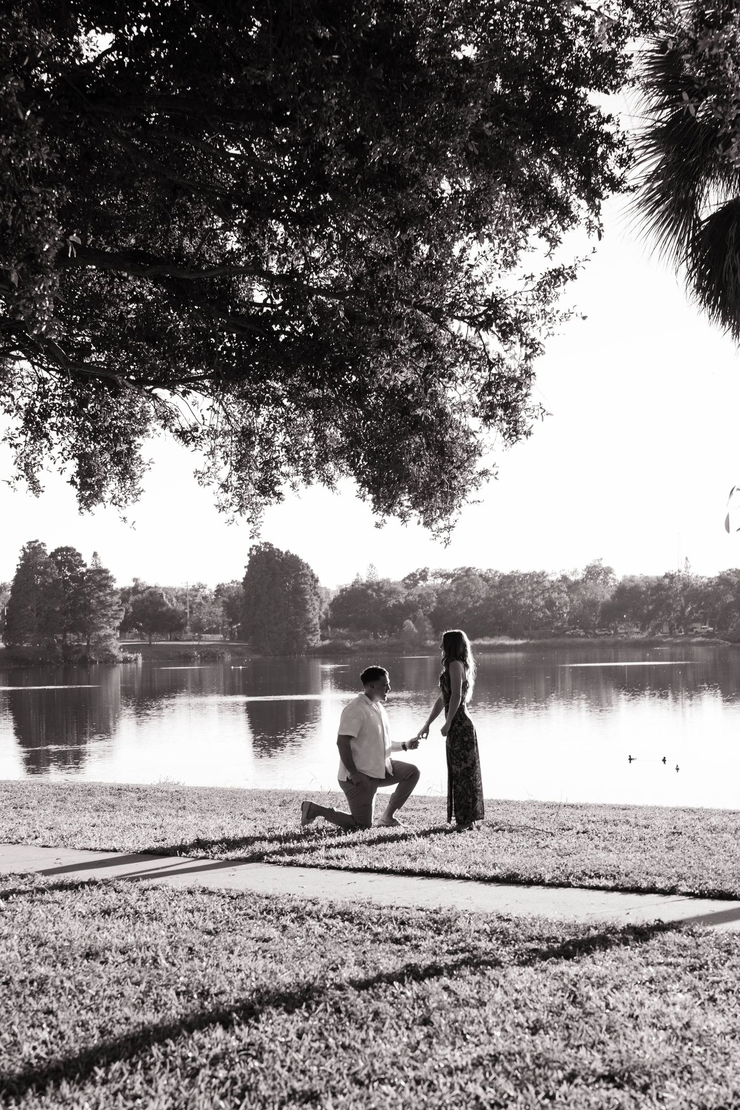 Black and white romantic marriage proposal by lakeside under large oak tree at sunset.