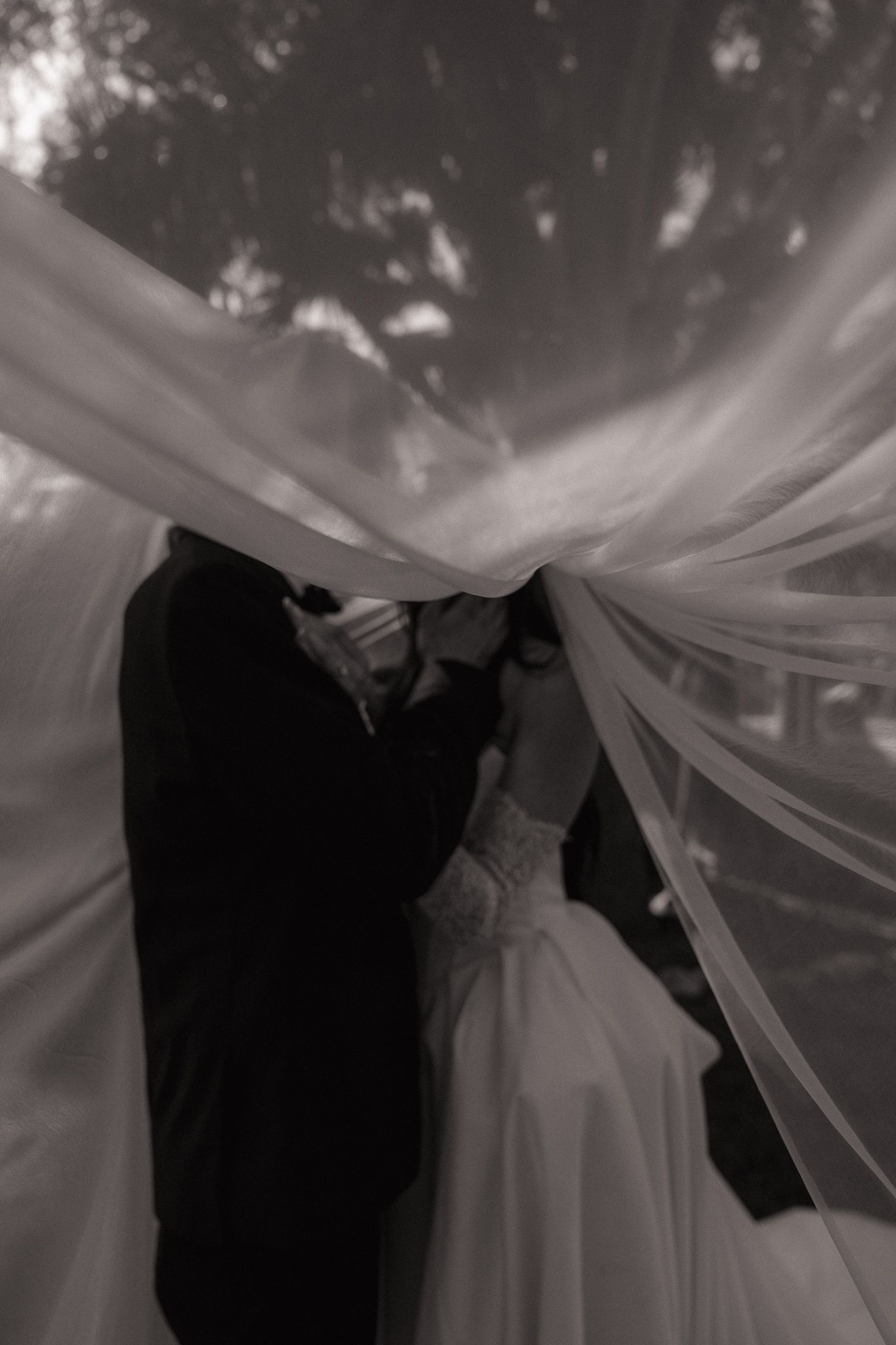 Romantic black and white photo of bride and groom kissing beneath billowing wedding veil outdoors.
