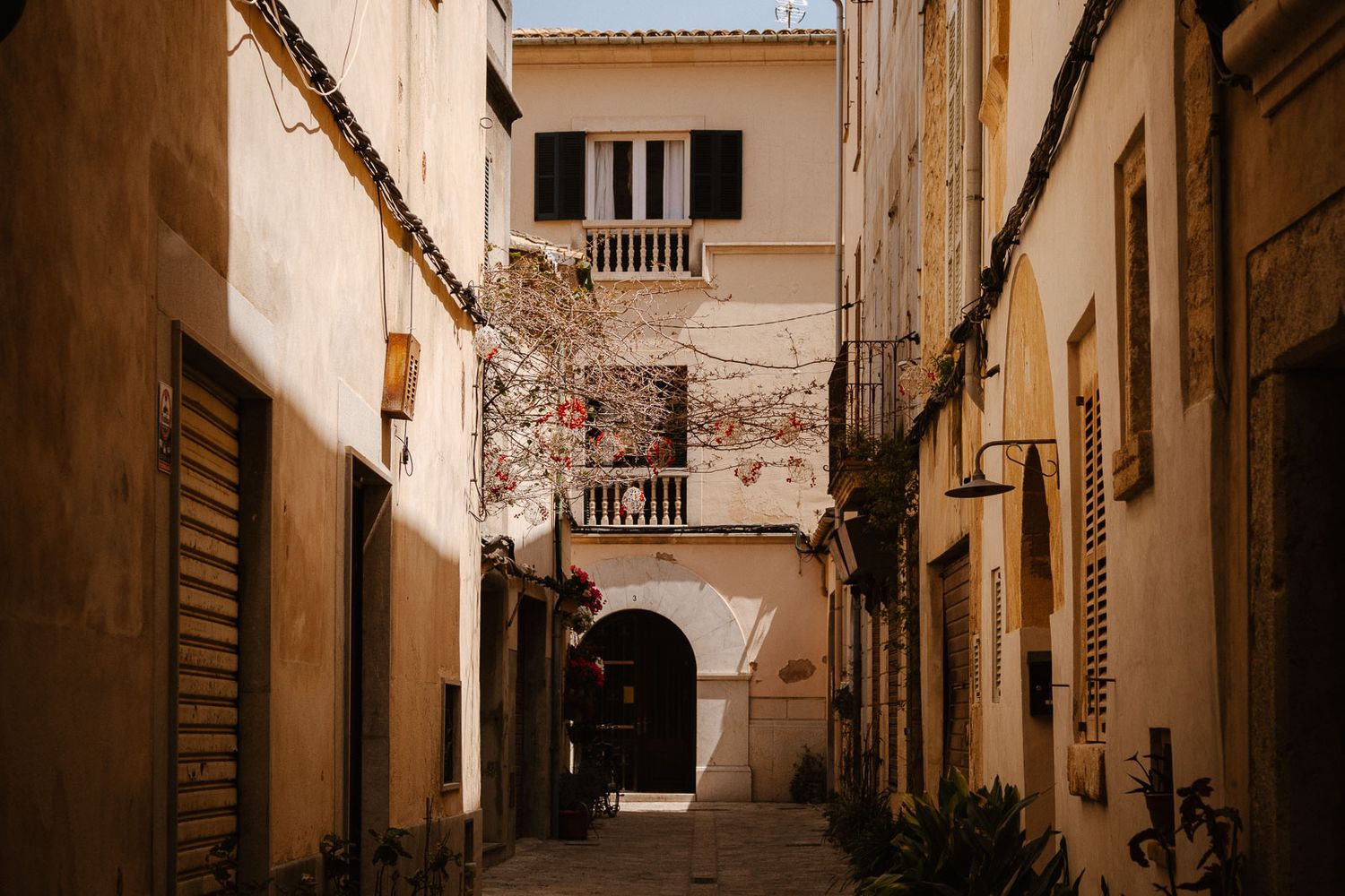 Narrow sunlit alleyway between aged Mediterranean stone buildings with arched doorway and climbing plants.