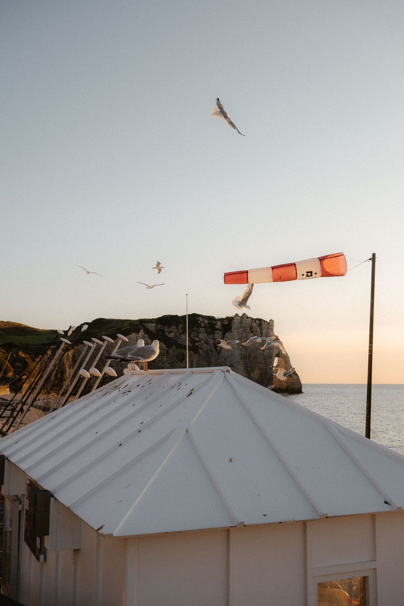 Seagulls flying over a white rooftop near coastal cliffs at sunset with a red and white wind sock.
