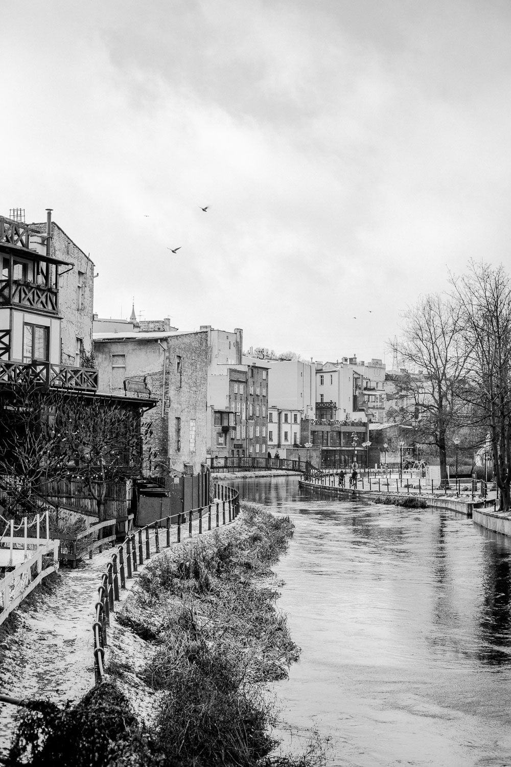 Black and white photo of a historic European river canal lined with old buildings and bare winter trees under cloudy skies.
