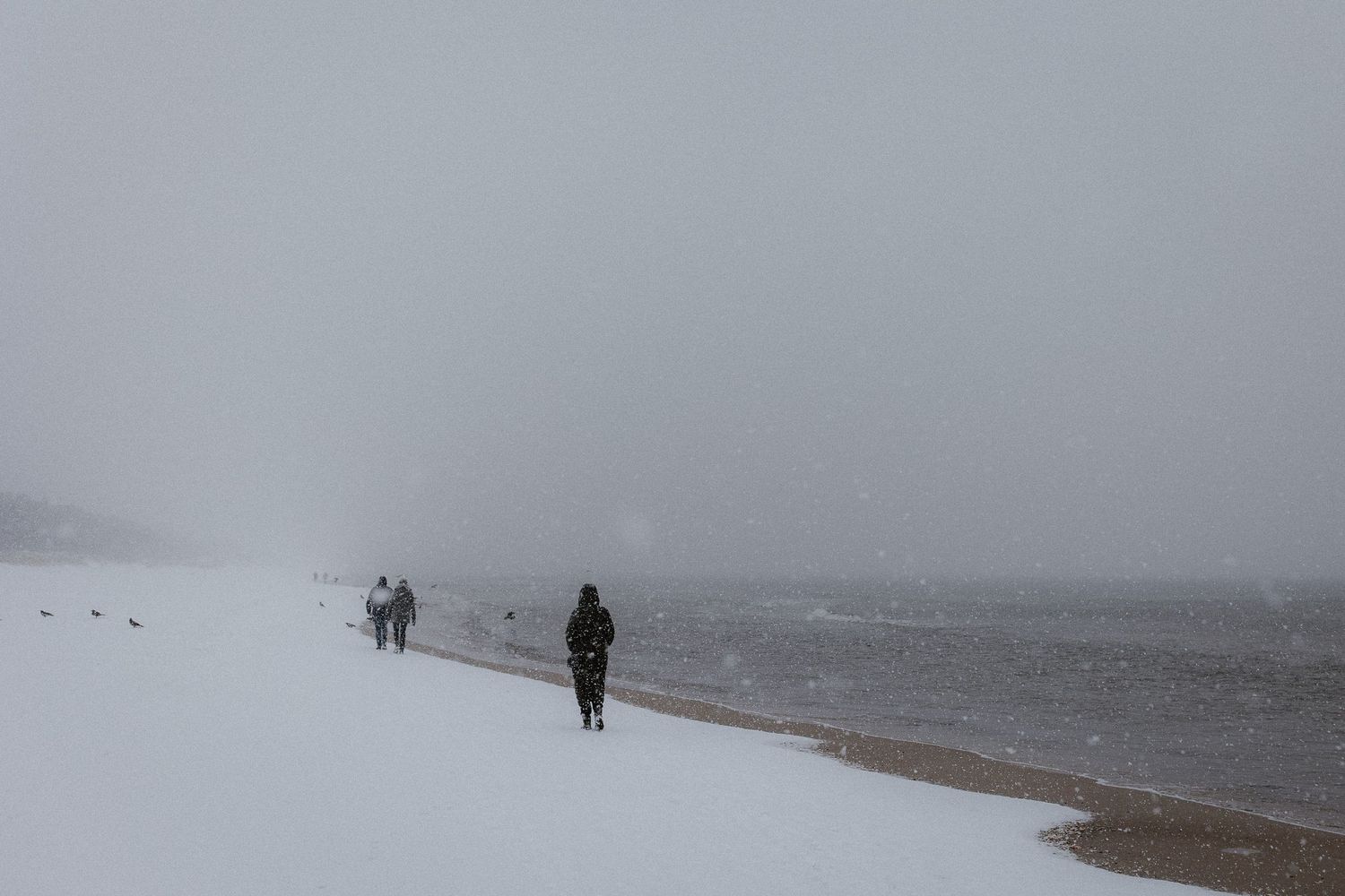 People walking along a snow-covered beach in heavy fog and snowfall beside a grey winter sea.