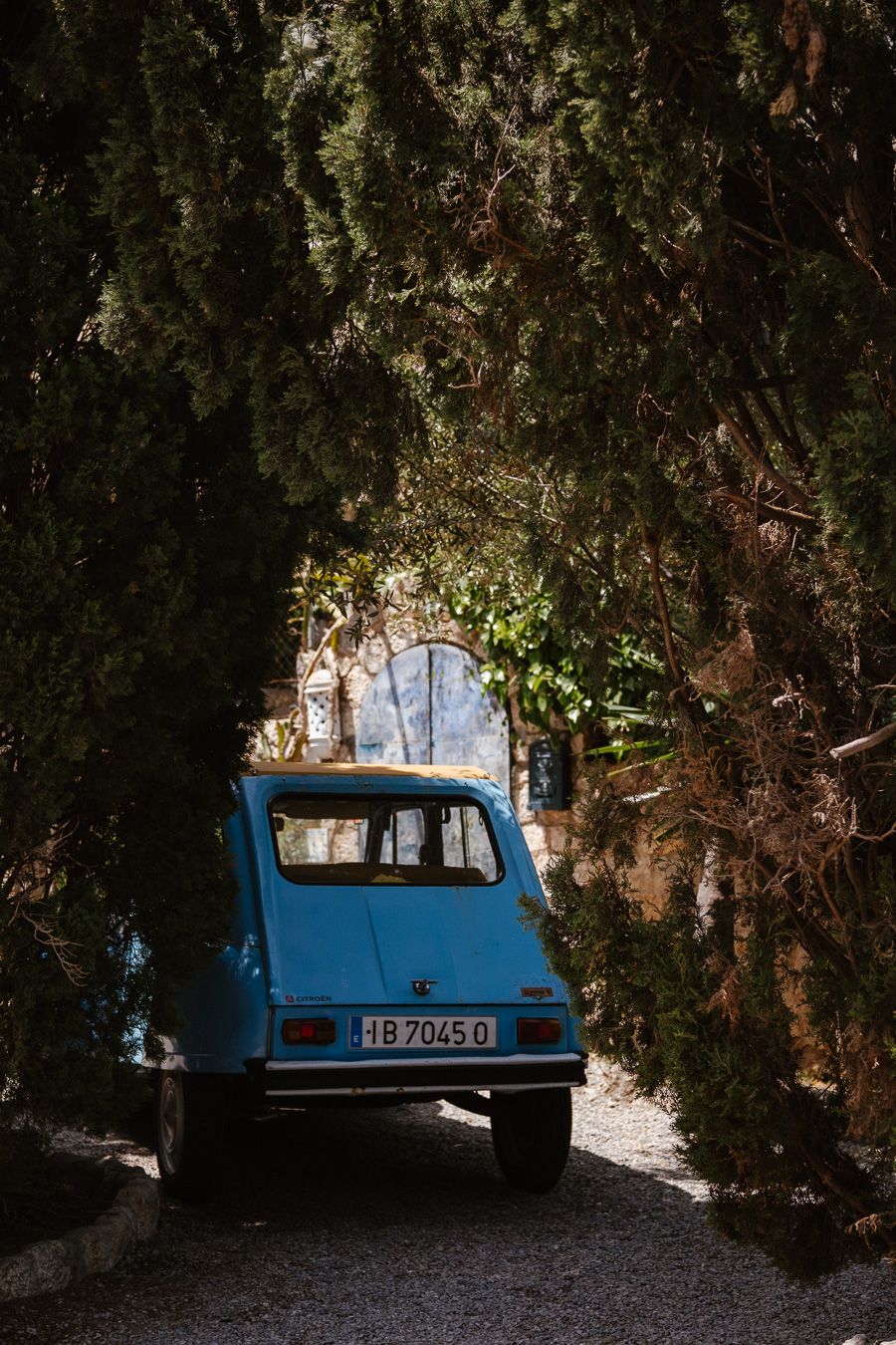 Vintage blue Renault 4 car parked on shaded gravel path beneath lush green cypress trees.