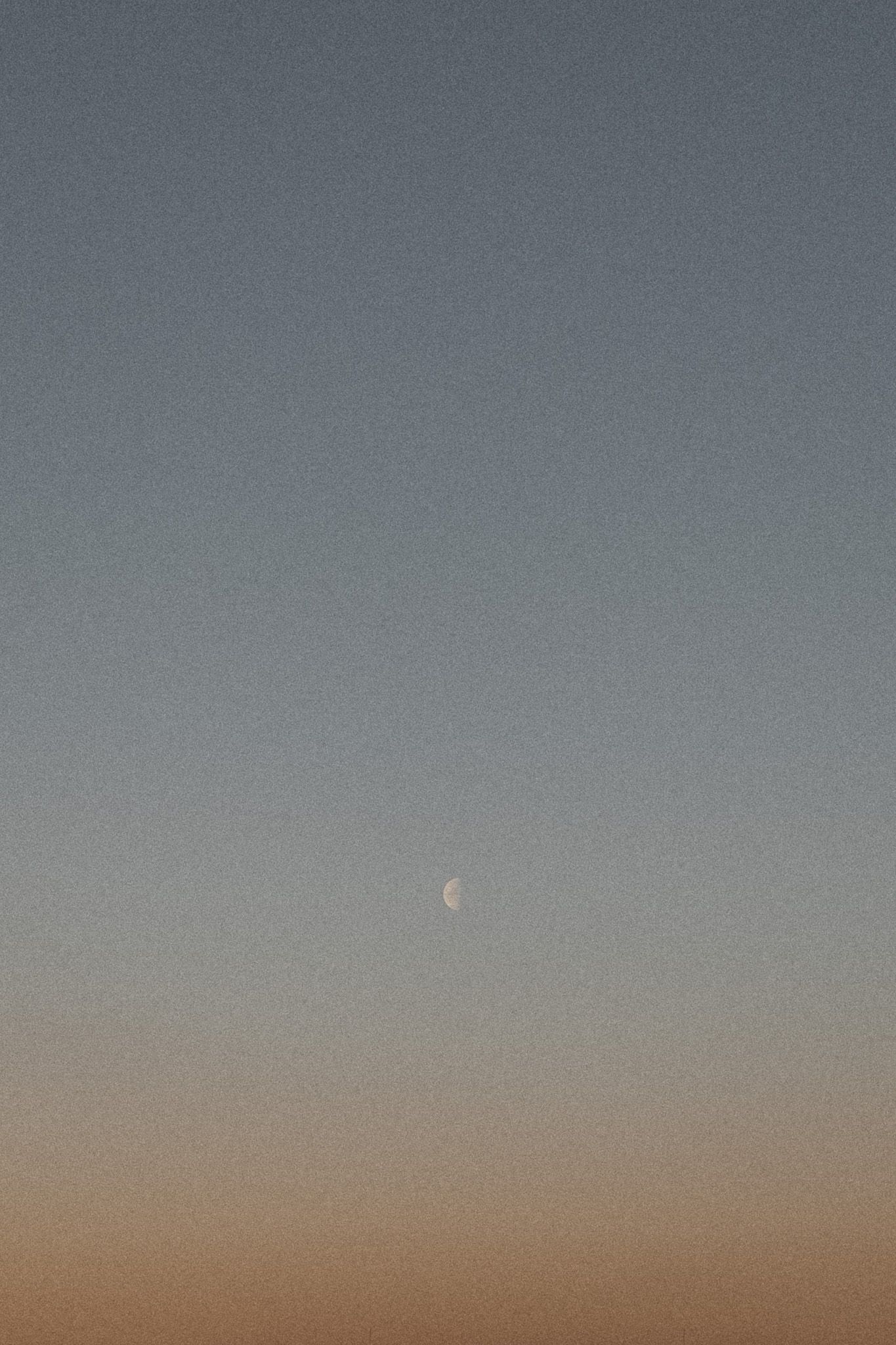 Half moon visible in a gradient dusk sky transitioning from blue to warm golden tones at twilight.