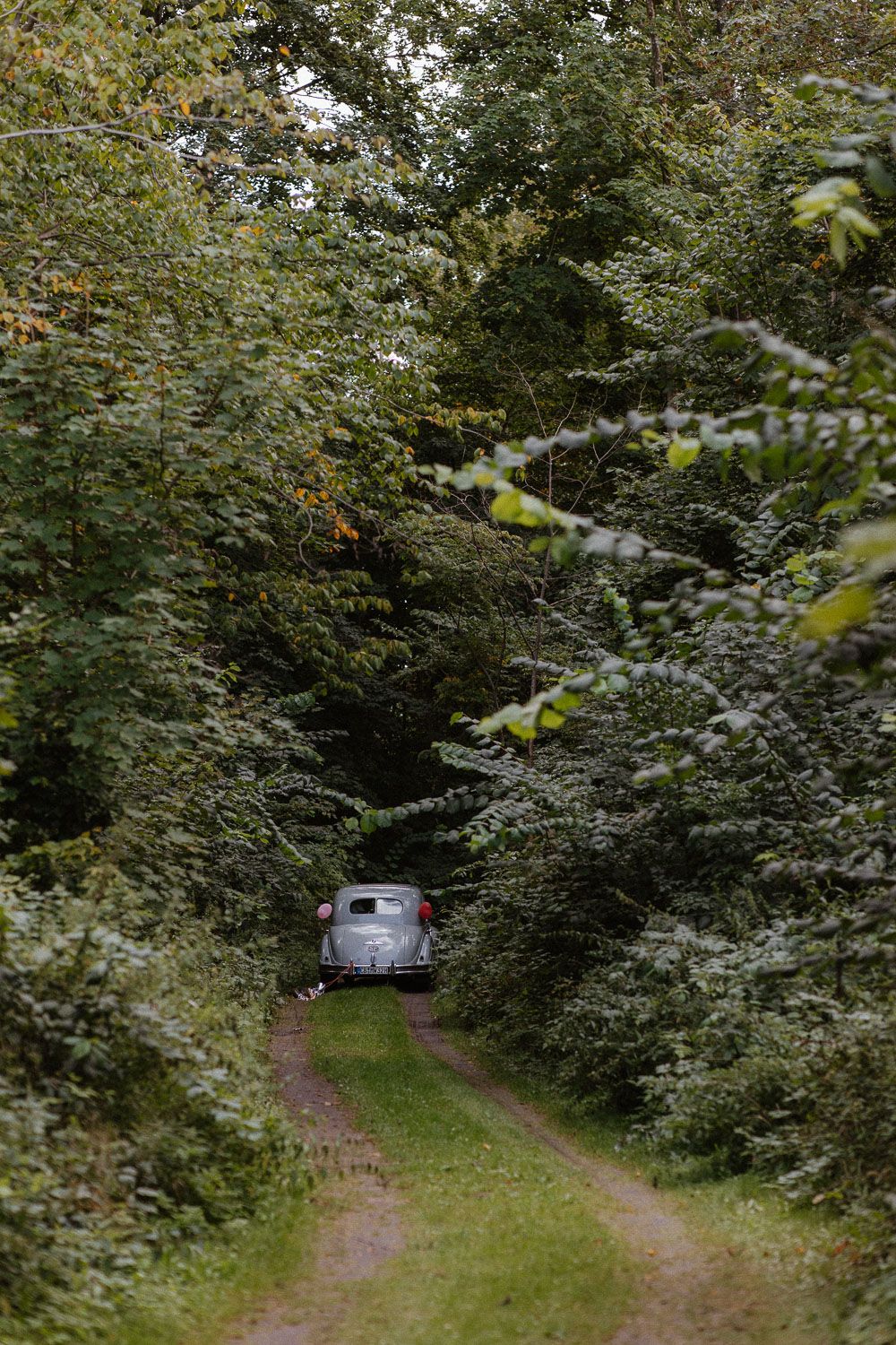 A vintage grey car parked on a narrow dirt path surrounded by lush green forest trees.