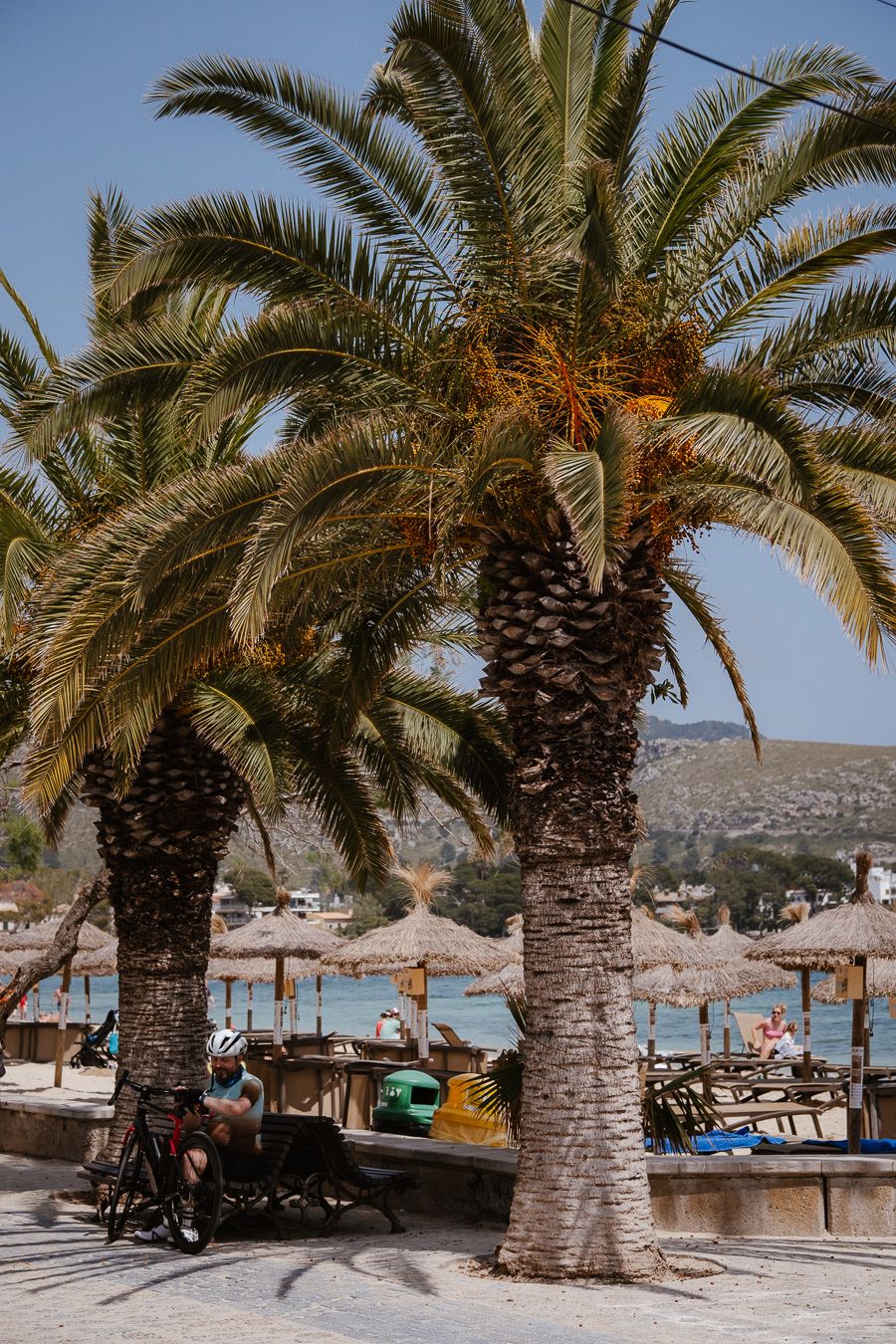 Tall palm trees framing a sunny Mediterranean beach resort with straw umbrellas and calm blue water.