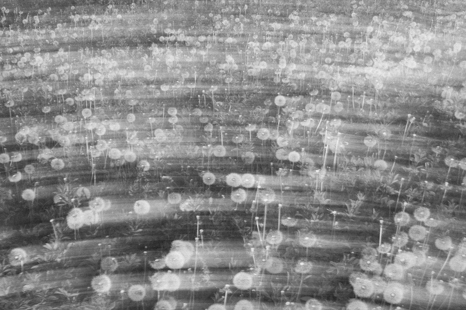 Abstract black and white bokeh texture with circular light spots and diagonal motion blur streaks.