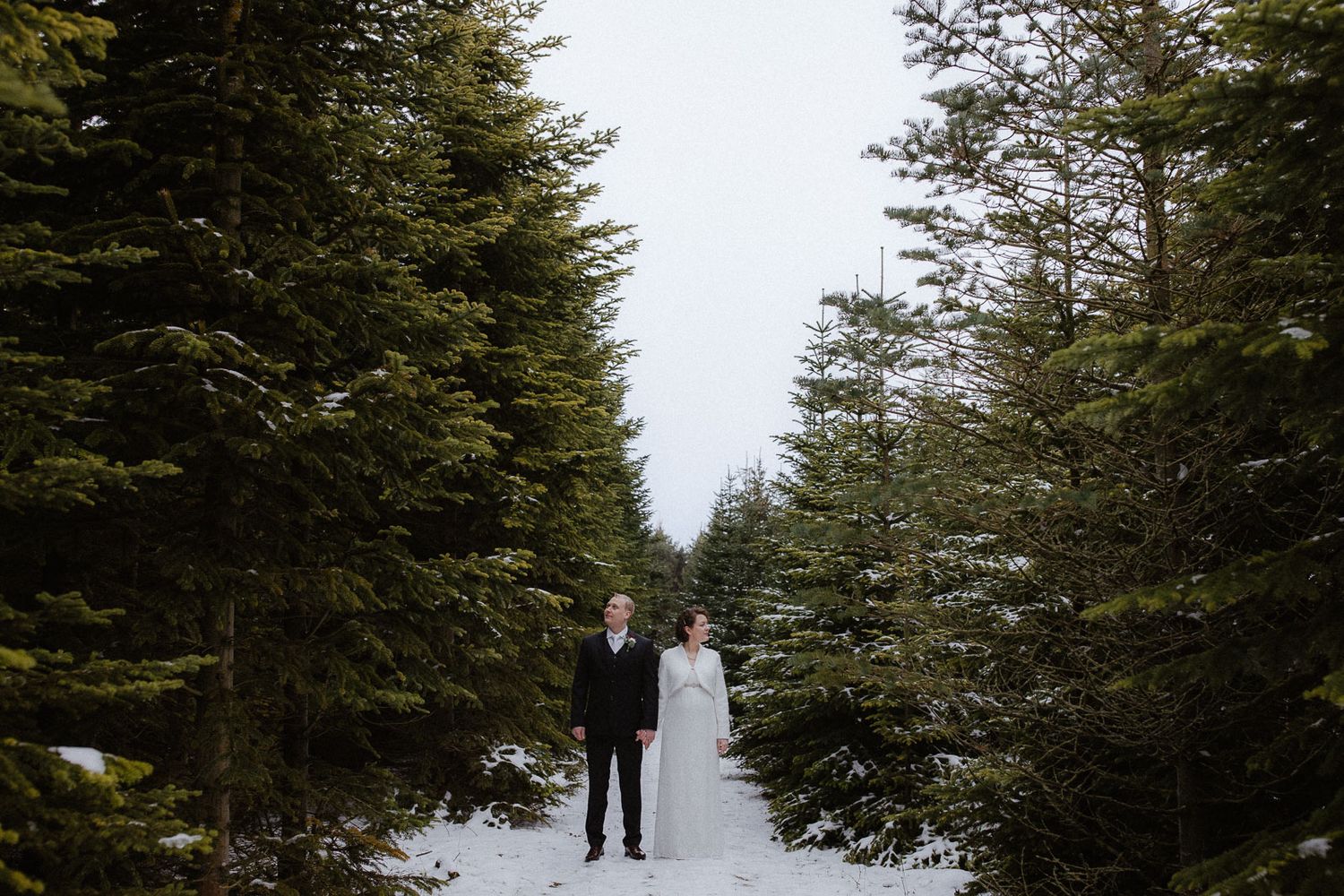 Couple standing hand-in-hand on a snowy path surrounded by tall evergreen trees in winter.