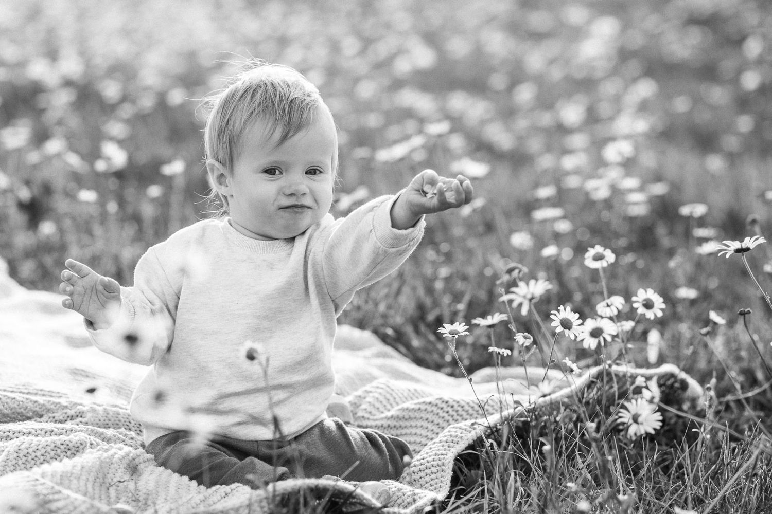 Black and white photo of baby boy reaching out in daisy field.