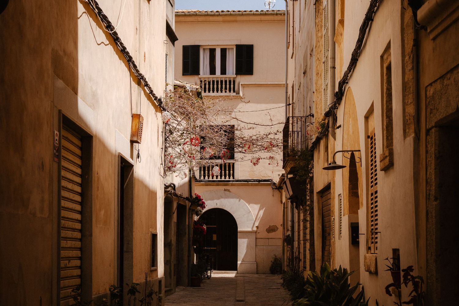 Narrow sunlit alley between old Mediterranean buildings with ivy-covered walls and arched passageway.
