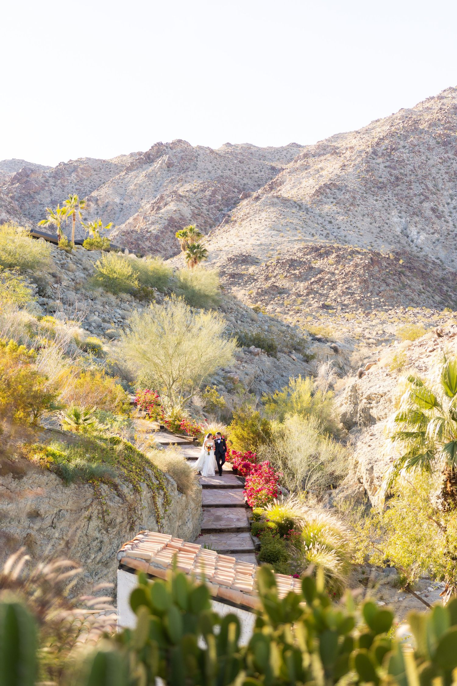 Hikers walking on a scenic desert trail surrounded by rocky mountains and desert vegetation in warm evening light.