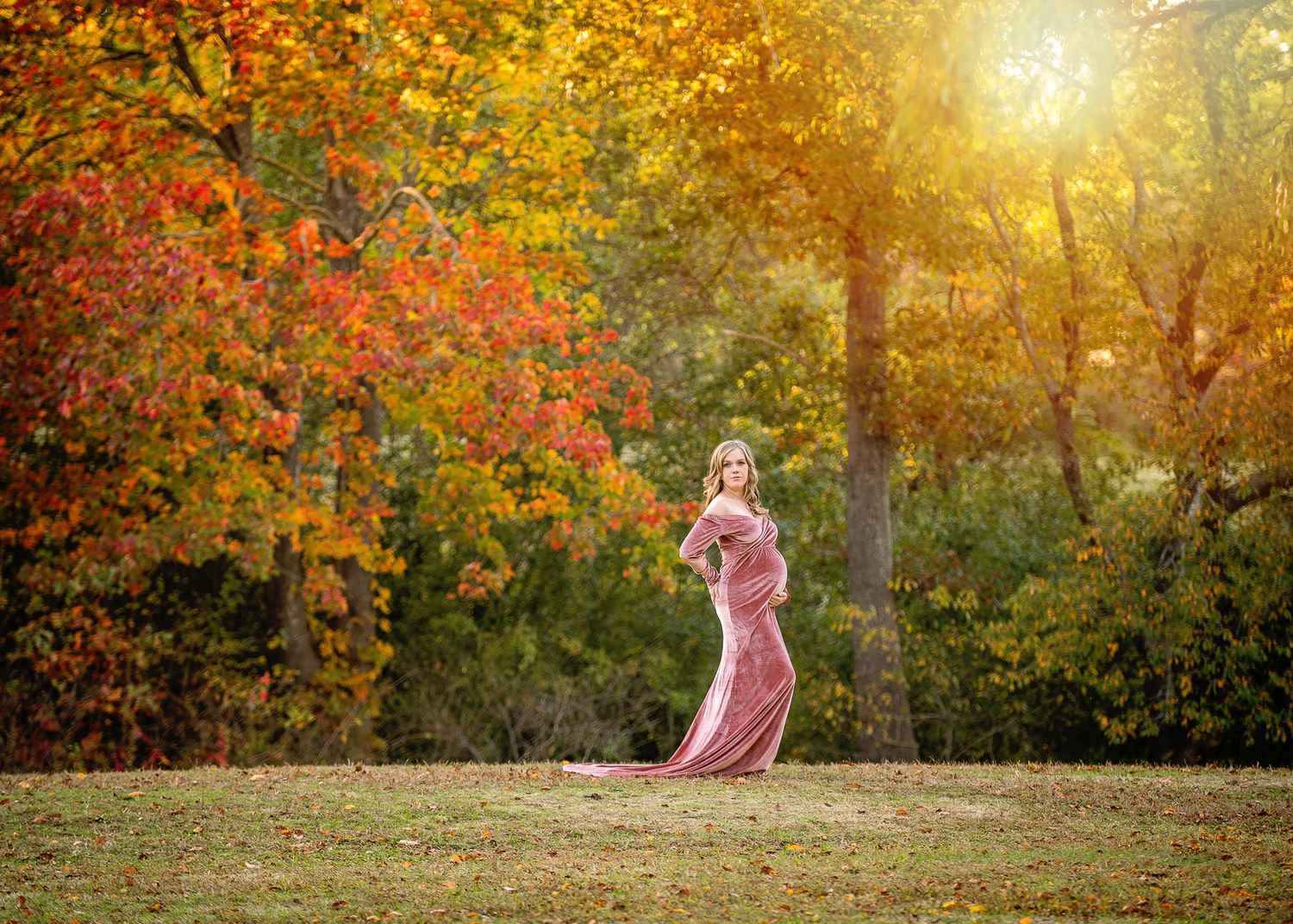 Person in pink dress standing in autumn field with golden sunlight streaming through colorful fall foliage.