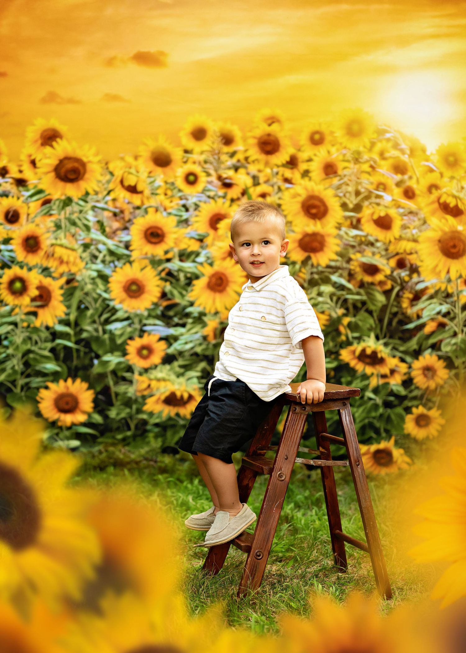 A young child sits on a wooden stool in a vibrant sunflower field at sunset with golden light illuminating the scene.