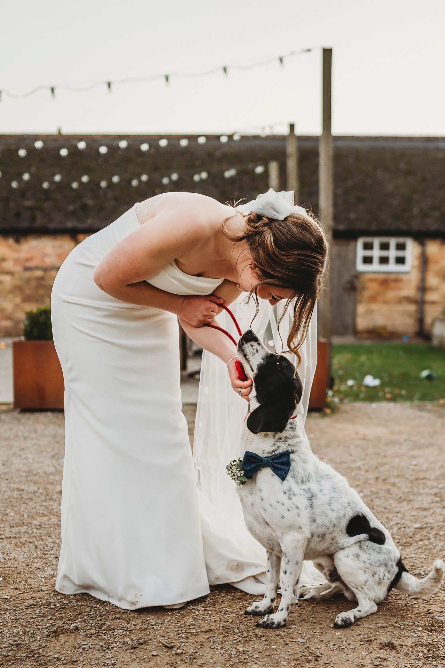 Bride in white gown bends to kiss her black and white dog wearing a navy bow tie at an outdoor wedding venue.