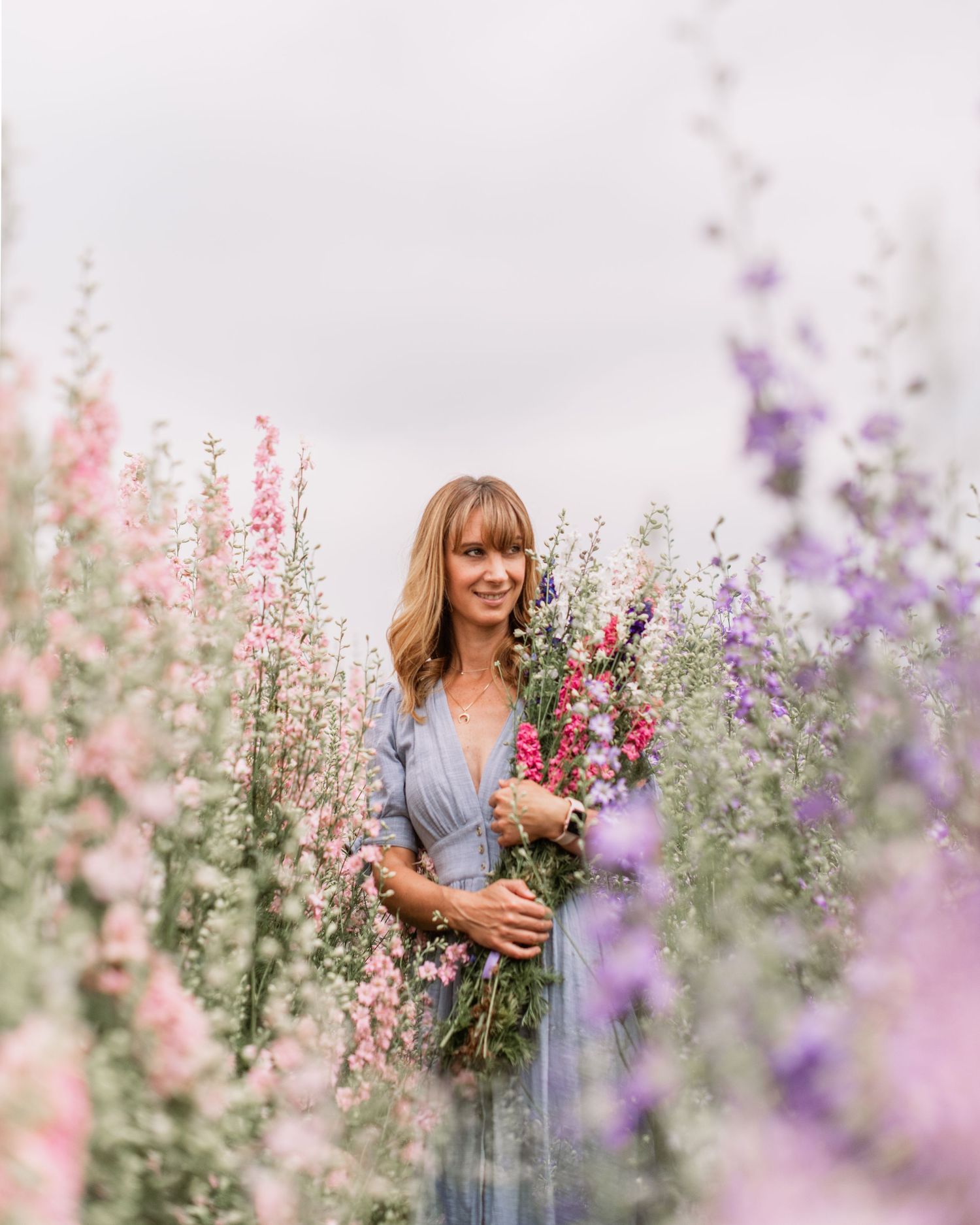 A dreamy garden scene with delicate purple and pink larkspur flowers blooming in soft natural light.