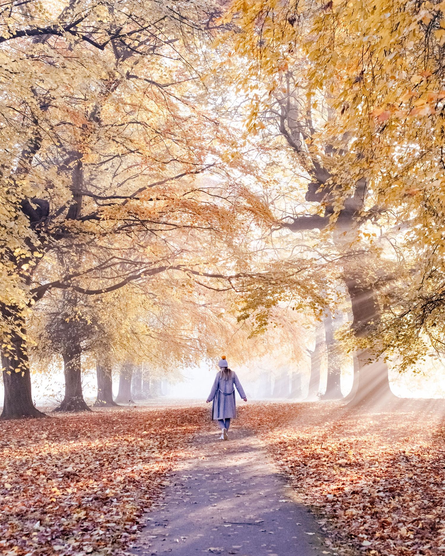 A misty autumn path lined with golden trees and fallen leaves creates a dreamy atmosphere in the park.