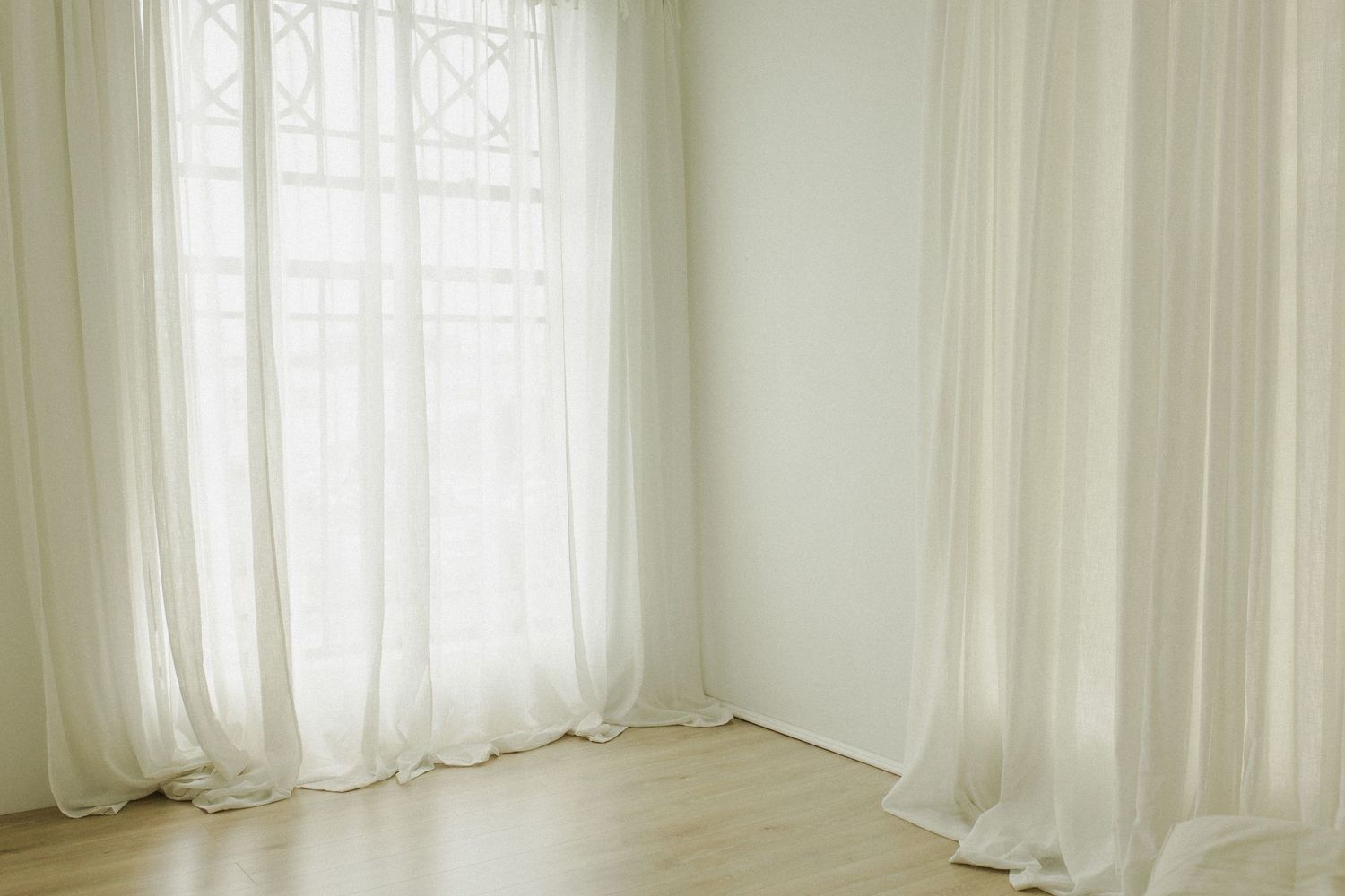 photography studio for hire Hamilton