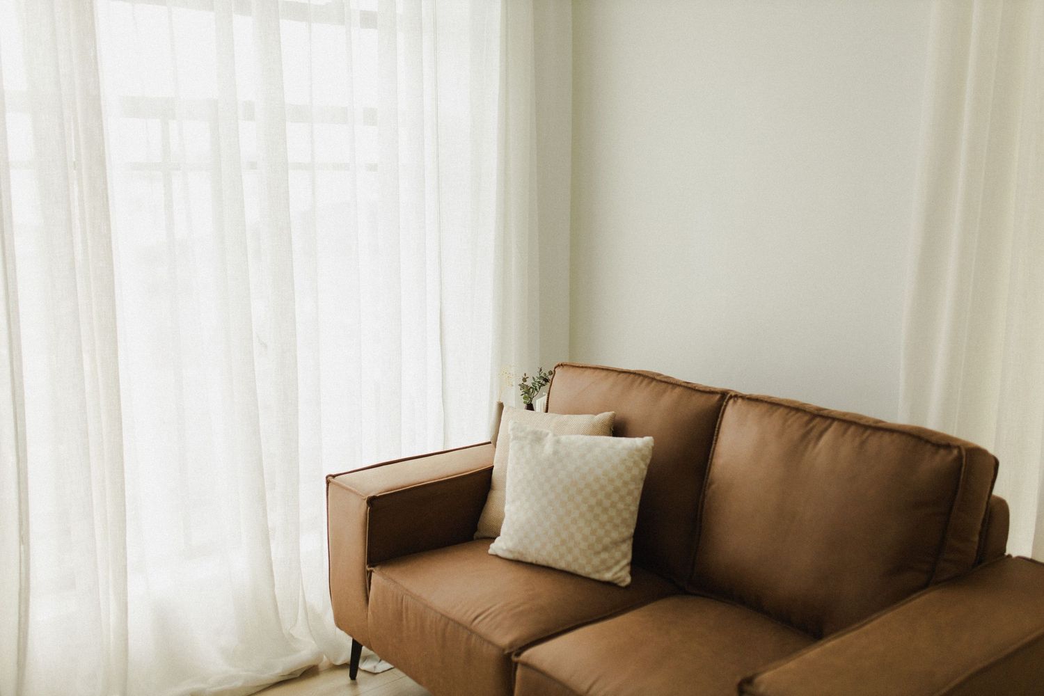 natural light studio in Hamilton