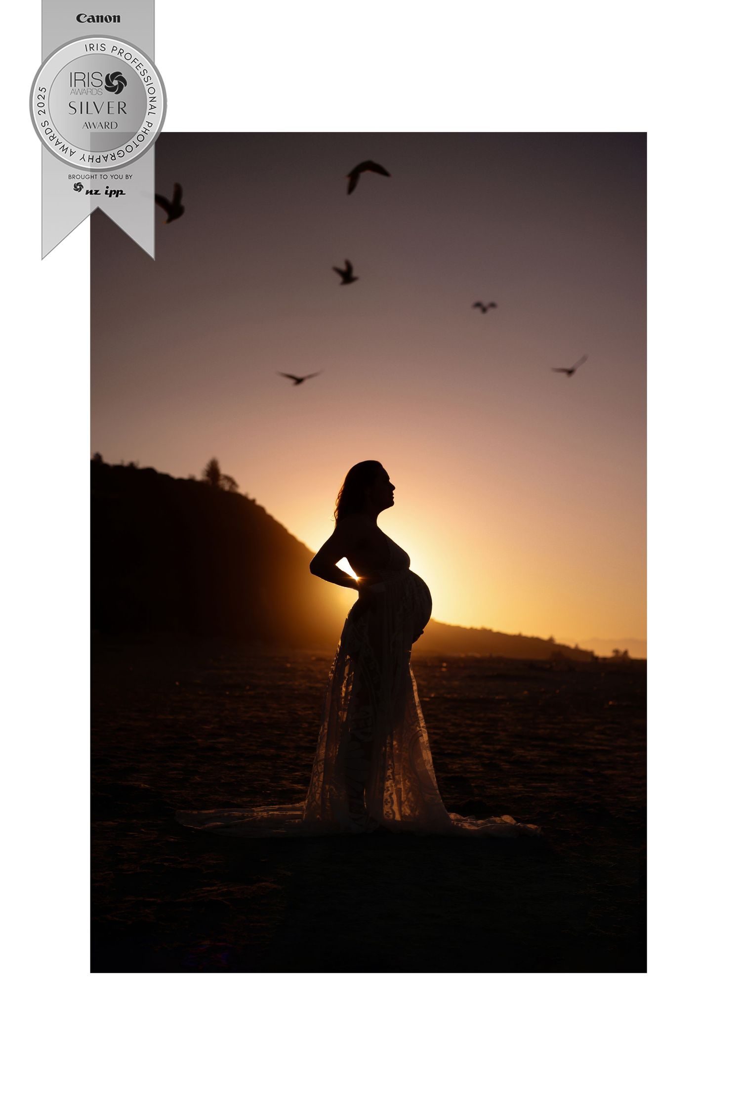 Dramatic sunset silhouettes with birds flying overhead against an orange sky.